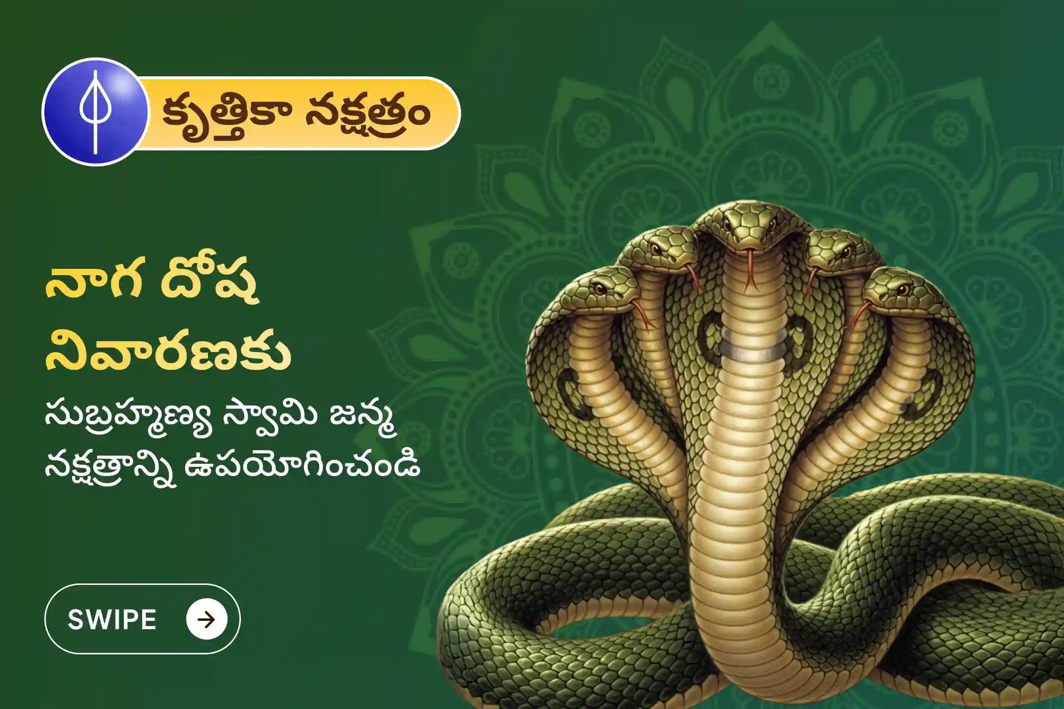 సర్ప (నాగ) దోషం యొక్క దుష్ప్రభావాలను తొలగించి, కర్మ పాపాలను ప్రక్షాళన చేసుకోవడం కొరకు కృత్తికా నక్షత్రం సుబ్రహ్మణ్య ప్రత్యేక ఆశ్లేష బలి పూజలో పాల్గొనండి.