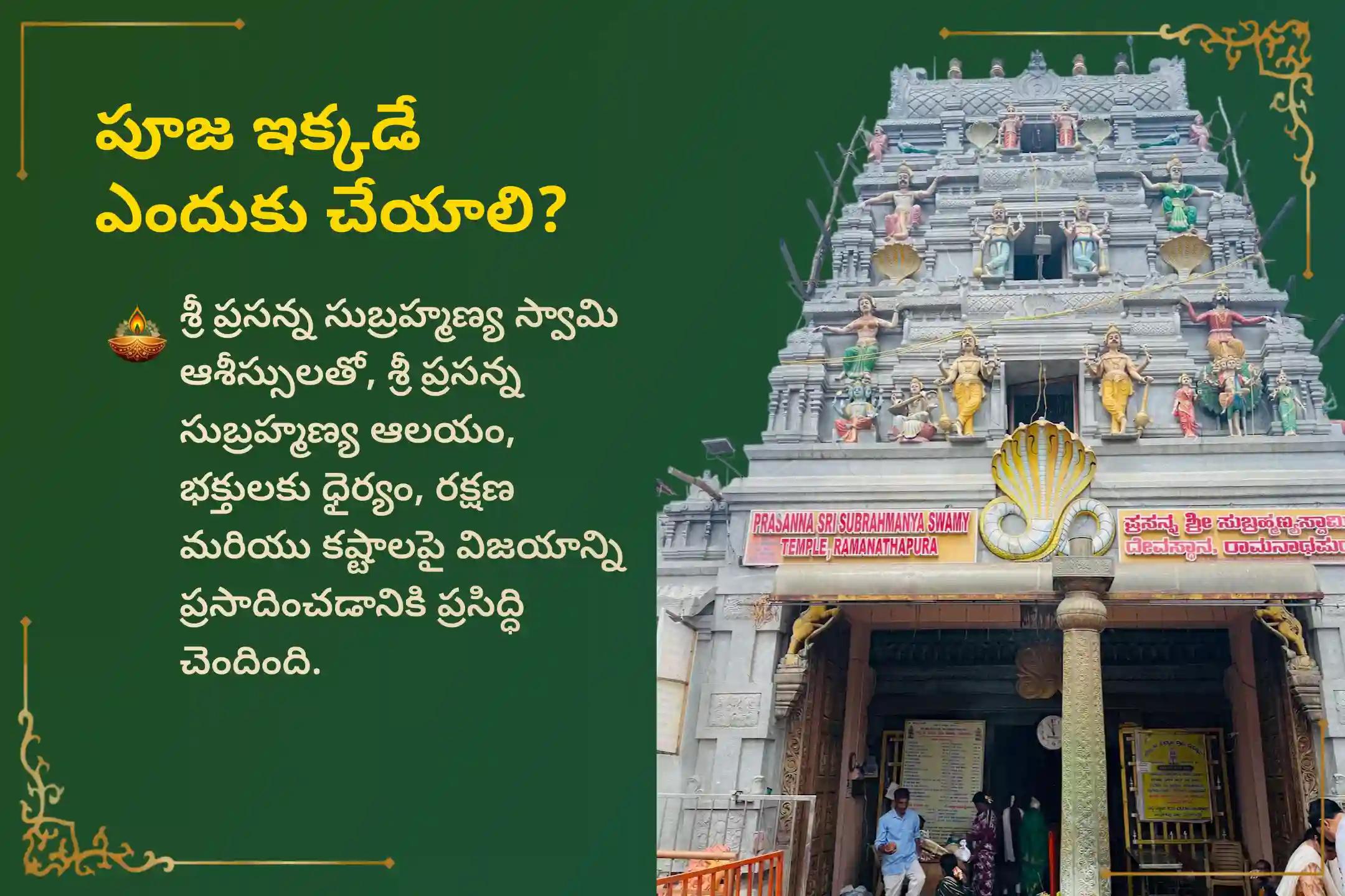 సర్ప (నాగ) దోషం యొక్క దుష్ప్రభావాలను తొలగించి, కర్మ పాపాలను ప్రక్షాళన చేసుకోవడం కొరకు కృత్తికా నక్షత్రం సుబ్రహ్మణ్య ప్రత్యేక ఆశ్లేష బలి పూజలో పాల్గొనండి.