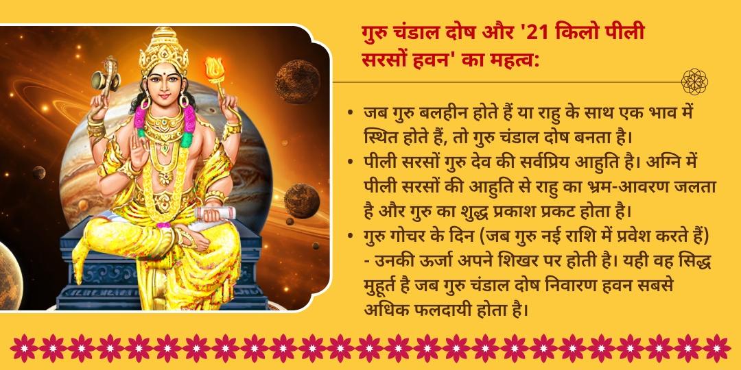 गुरु गोचर गुरु चंडाल दोष शांति 21 किलो पीली सरसों हवन आहुति एवं चढ़ावा