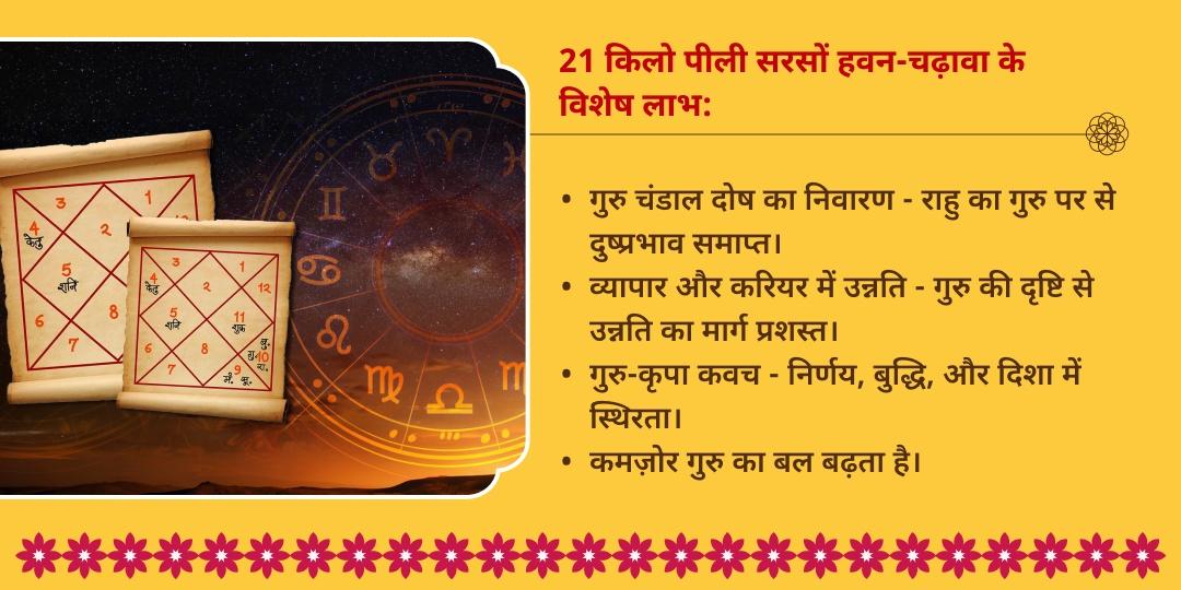 गुरु गोचर गुरु चंडाल दोष शांति 21 किलो पीली सरसों हवन आहुति एवं चढ़ावा