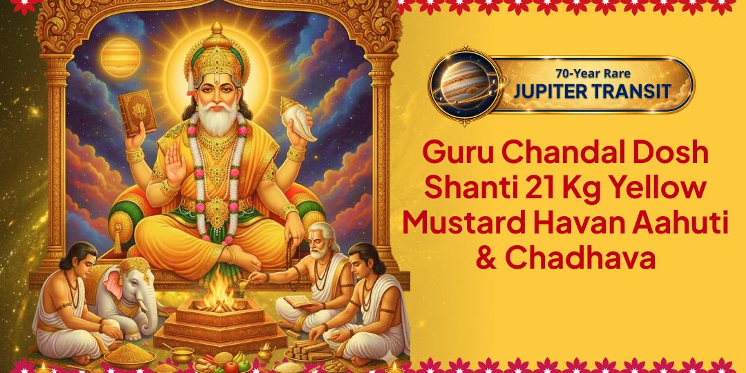 On Guru Gochar - 21 Kg Yellow Mustard Maha Havan Ahuti & Chadhava for Complete Remedy for Guru Chandal Dosha. Join Now!