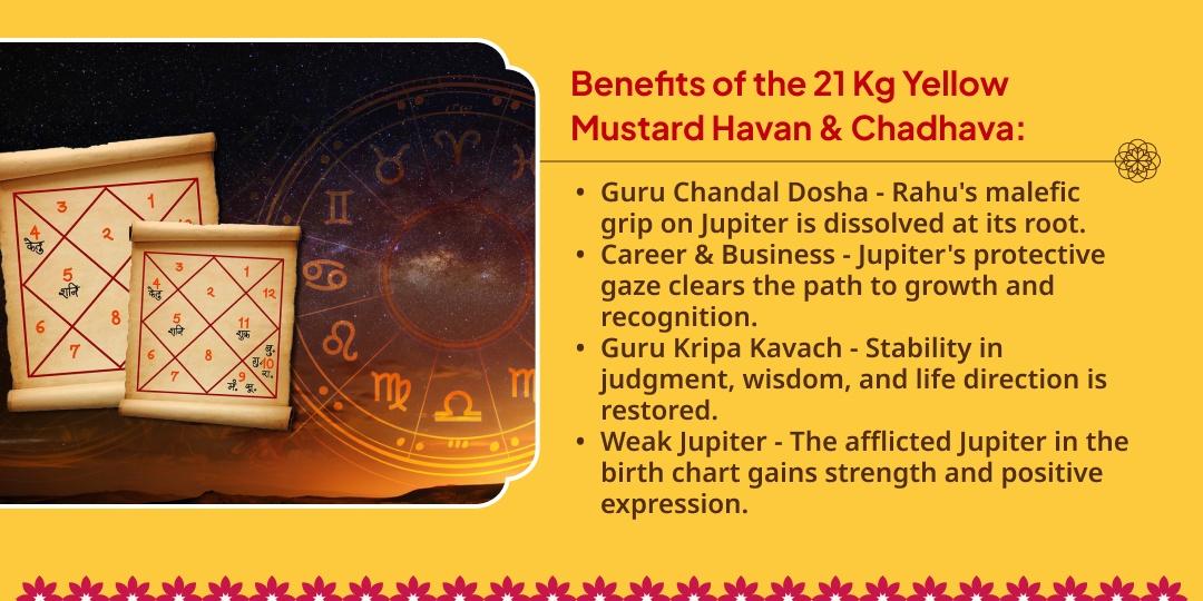 Guru Gochar Guru Chandal Dosh Shanti 21 Kg Yellow Mustard Seeds Havan Ahuti & Chadhava
