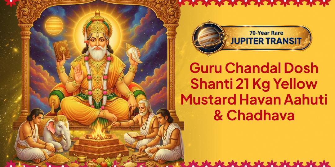 On Guru Gochar - 21 Kg Yellow Mustard Maha Havan Ahuti & Chadhava for Complete Remedy for Guru Chandal Dosha. Join Now!
