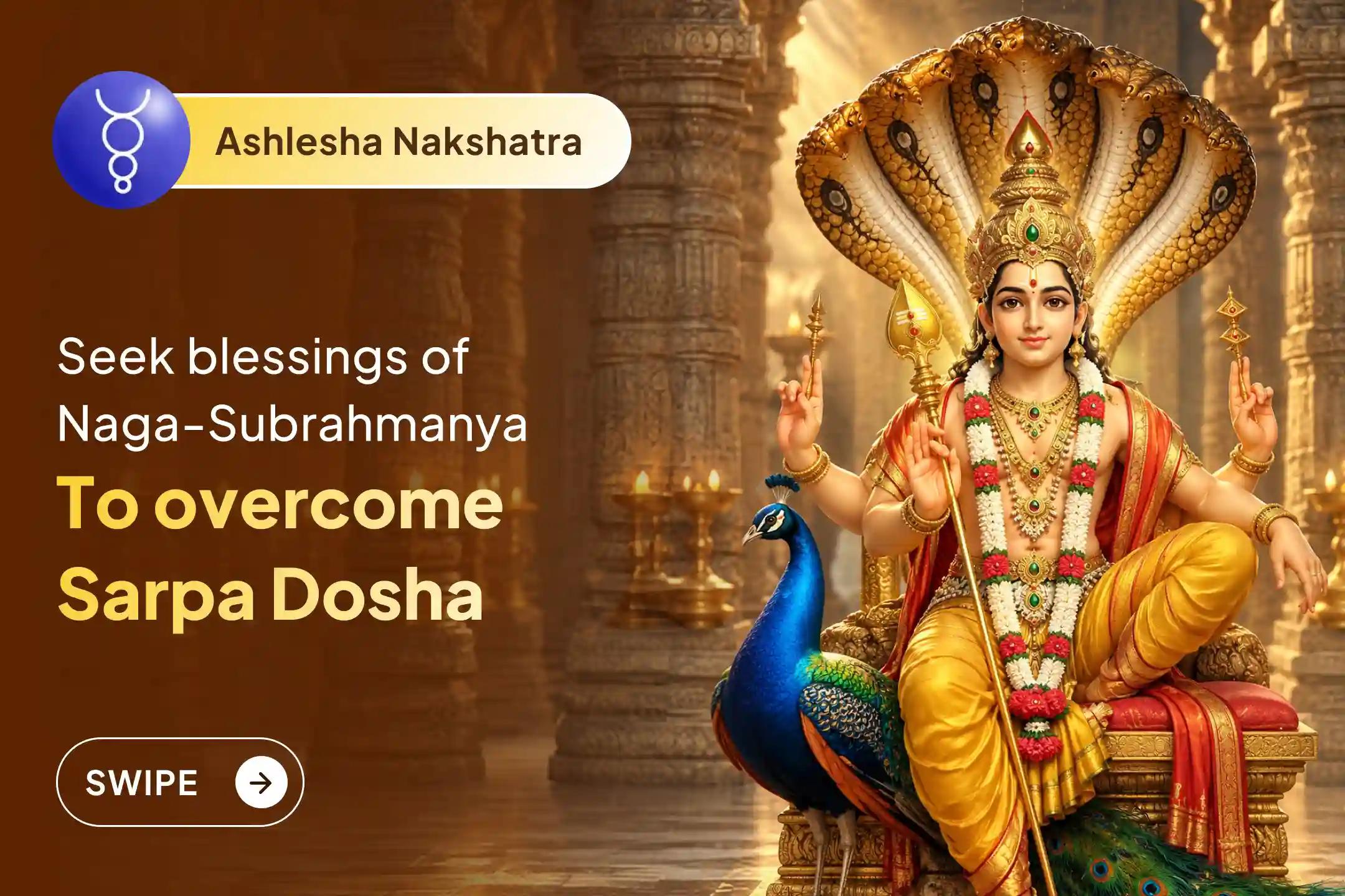 🕉️ On the auspicious day of Ashlesha Nakshatra, get blessings of Subrahmanya Swamy for family well-being 🙏