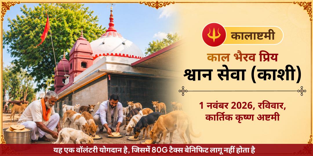 कालाष्टमी विशेष काल भैरव प्रिय श्वान सेवा (काशी)