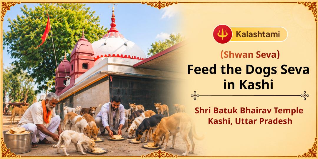 Feeding a Dog is the Most Direct Seva You Can Offer Kaal Bhairav. This Kalashtami, Serve Food to His sacred vahan at Kashi!