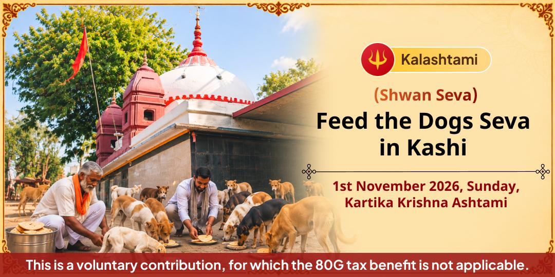 Kalashtami Special Feed the Dogs Seva in Kashi (Shwan Seva)