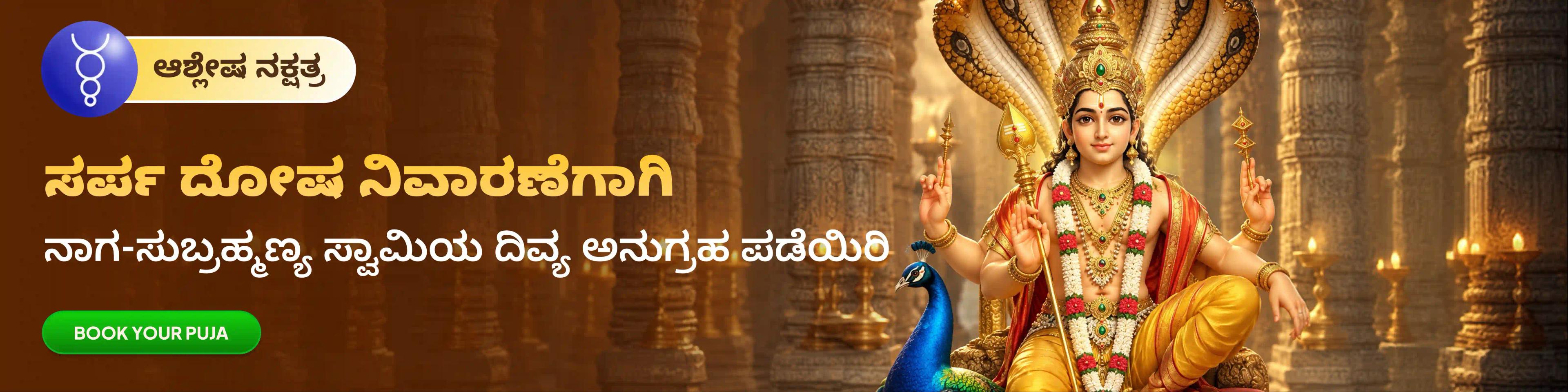 devotee