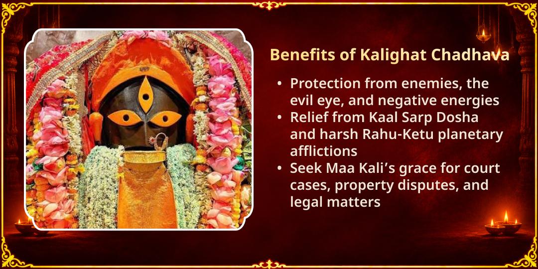 Kali Chaudas Special Kalighat Shaktipeeth Chadhava