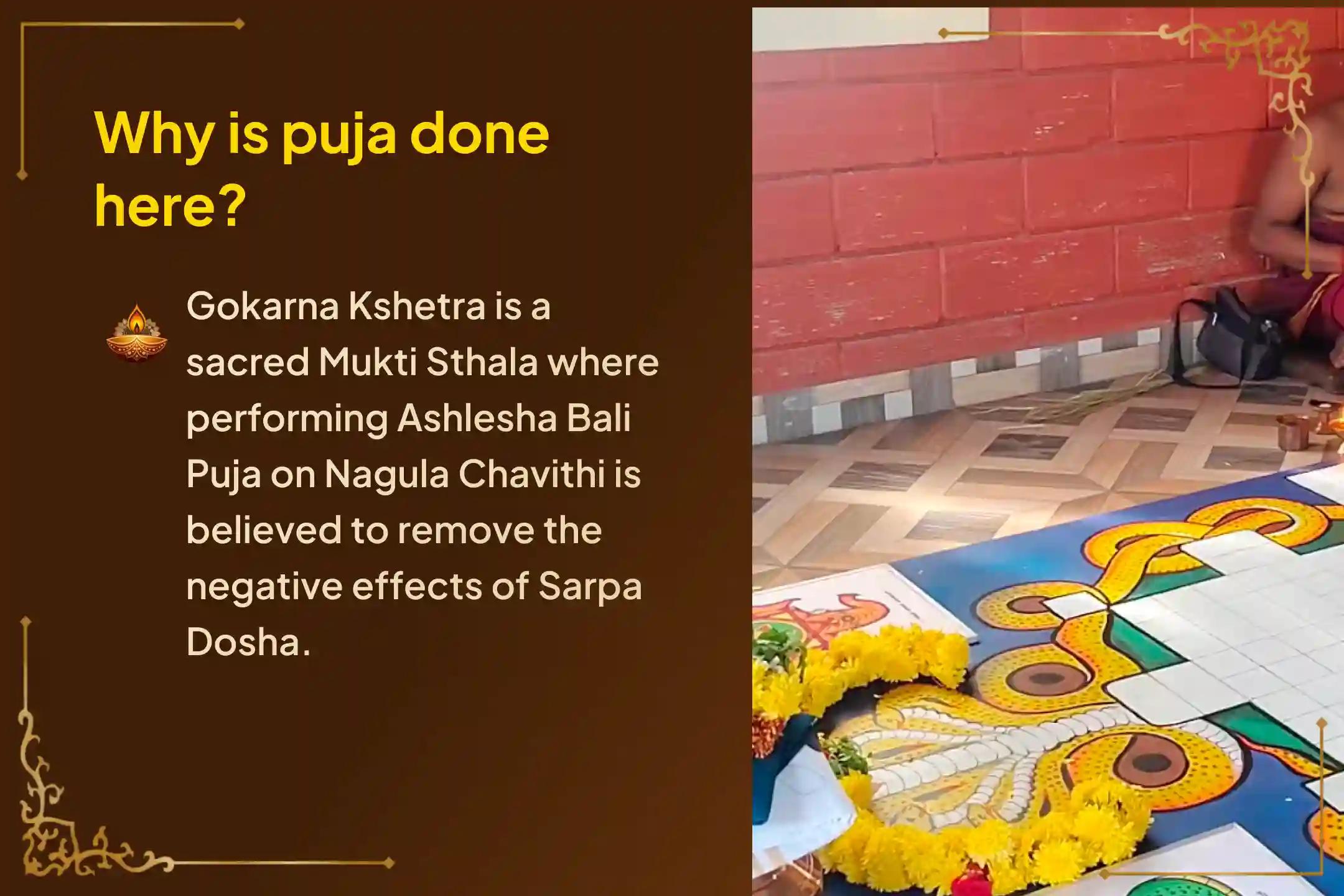 Participate in the Kartika Masam Nagula Chavithi Special Ashlesha Bali Puja to remove the malicious effects of Sarpa (Naga) Dosha and cleanse karmic sins