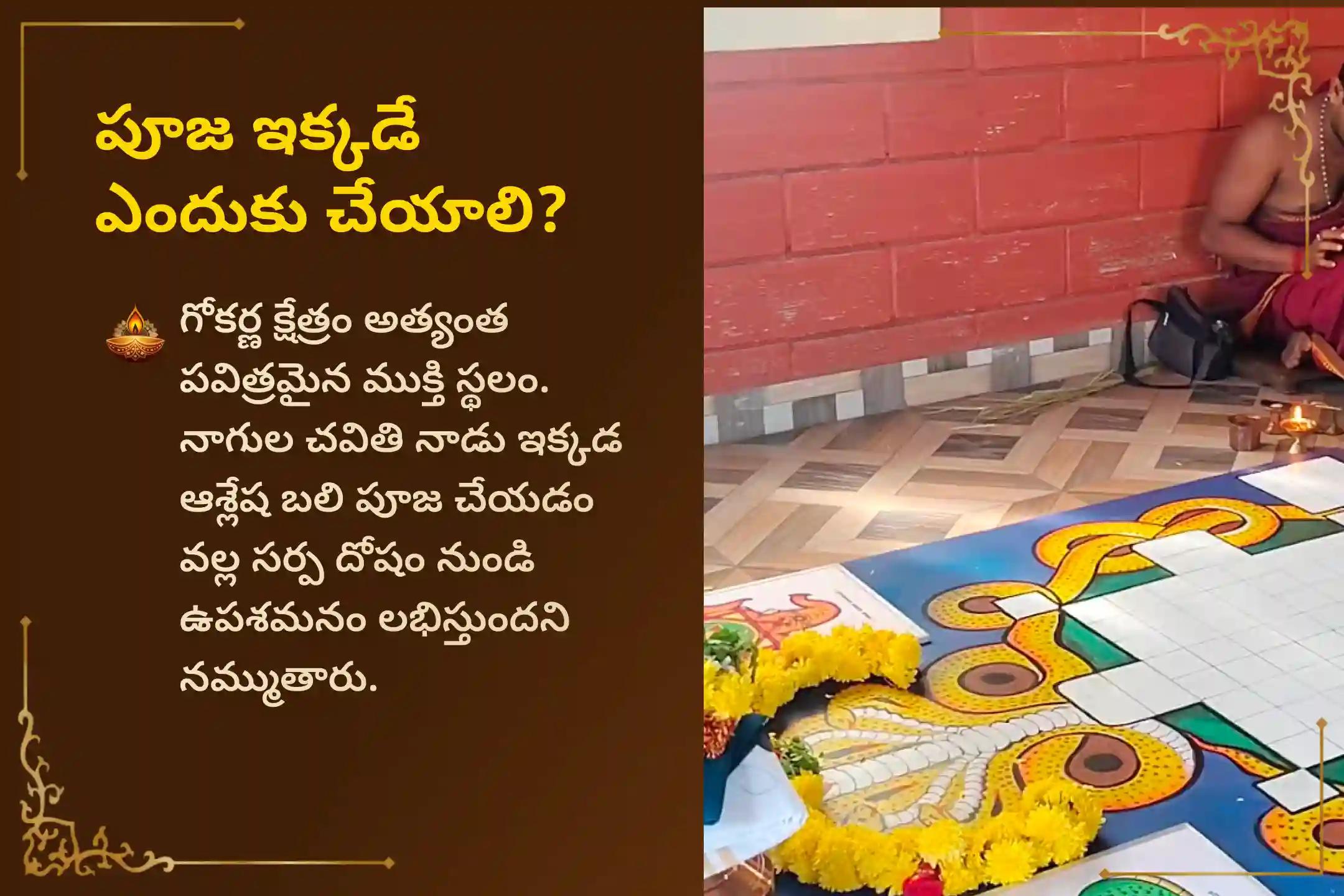 సర్ప (నాగ) దోషం యొక్క దుష్ప్రభావాలను తొలగించి, కర్మ పాపాలను ప్రక్షాళన చేసుకోవడం కొరకు కార్తీక మాస నాగుల చవితి ప్రత్యేక ఆశ్లేష బలి పూజలో పాల్గొనండి.