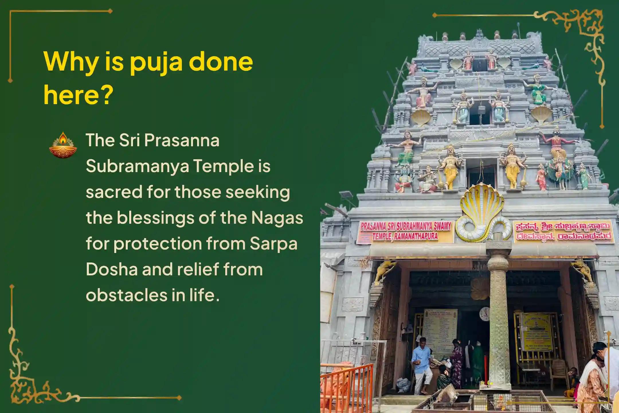 🕉️Participate in the Kartika Masam Nagula Chavithi - Special Naag Pratishtha Puja to overcome marriage delays, childbirth issues, or financial problems🙏