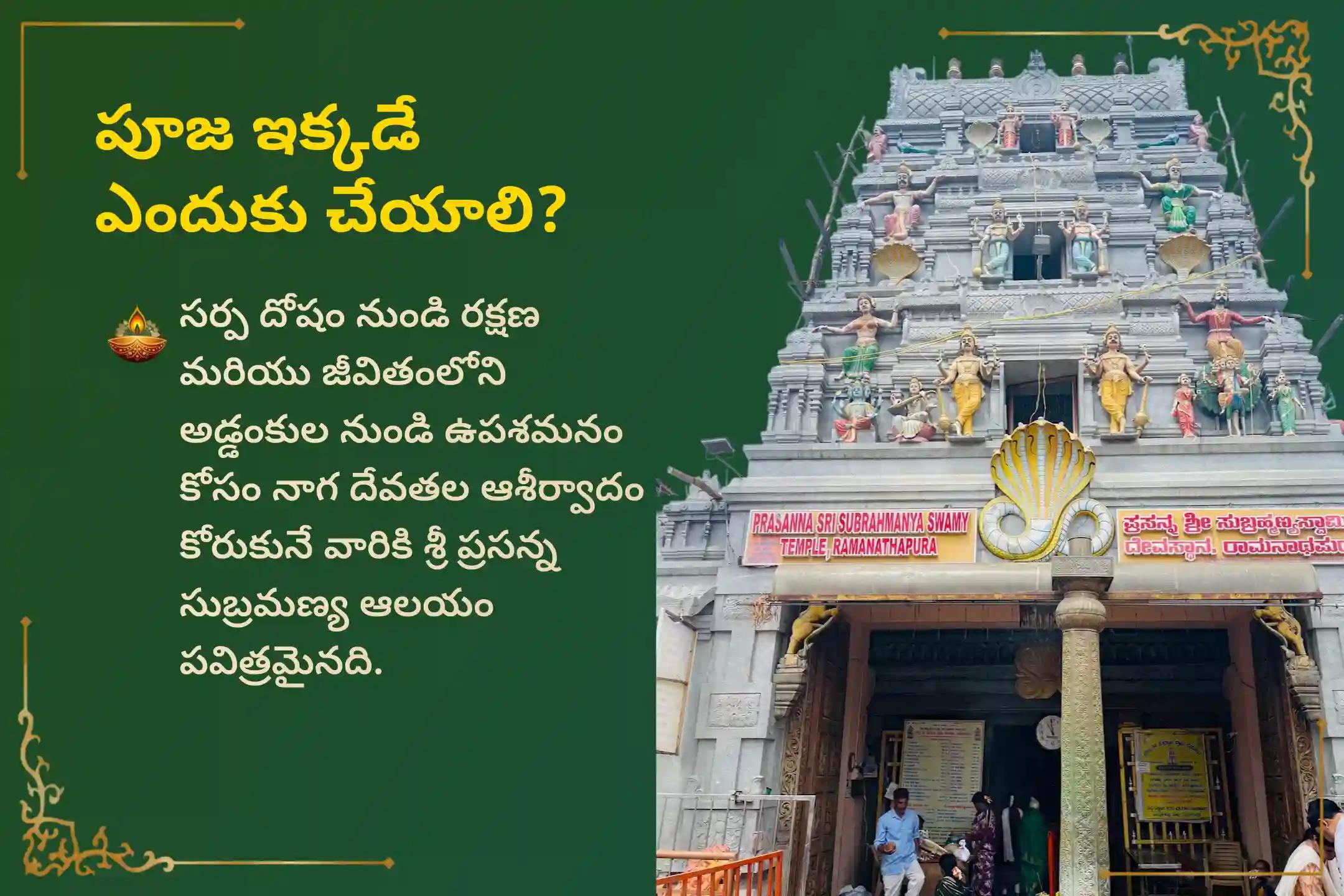 🕉️ కార్తీక మాసం నాగుల చవితి - ప్రత్యేక నాగ ప్రతిష్ఠ పూజలో పాల్గొని, వివాహ జాప్యాలు, సంతాన లేమి లేదా ఆర్థిక ఇబ్బందుల నుండి విముక్తి పొందండి🙏