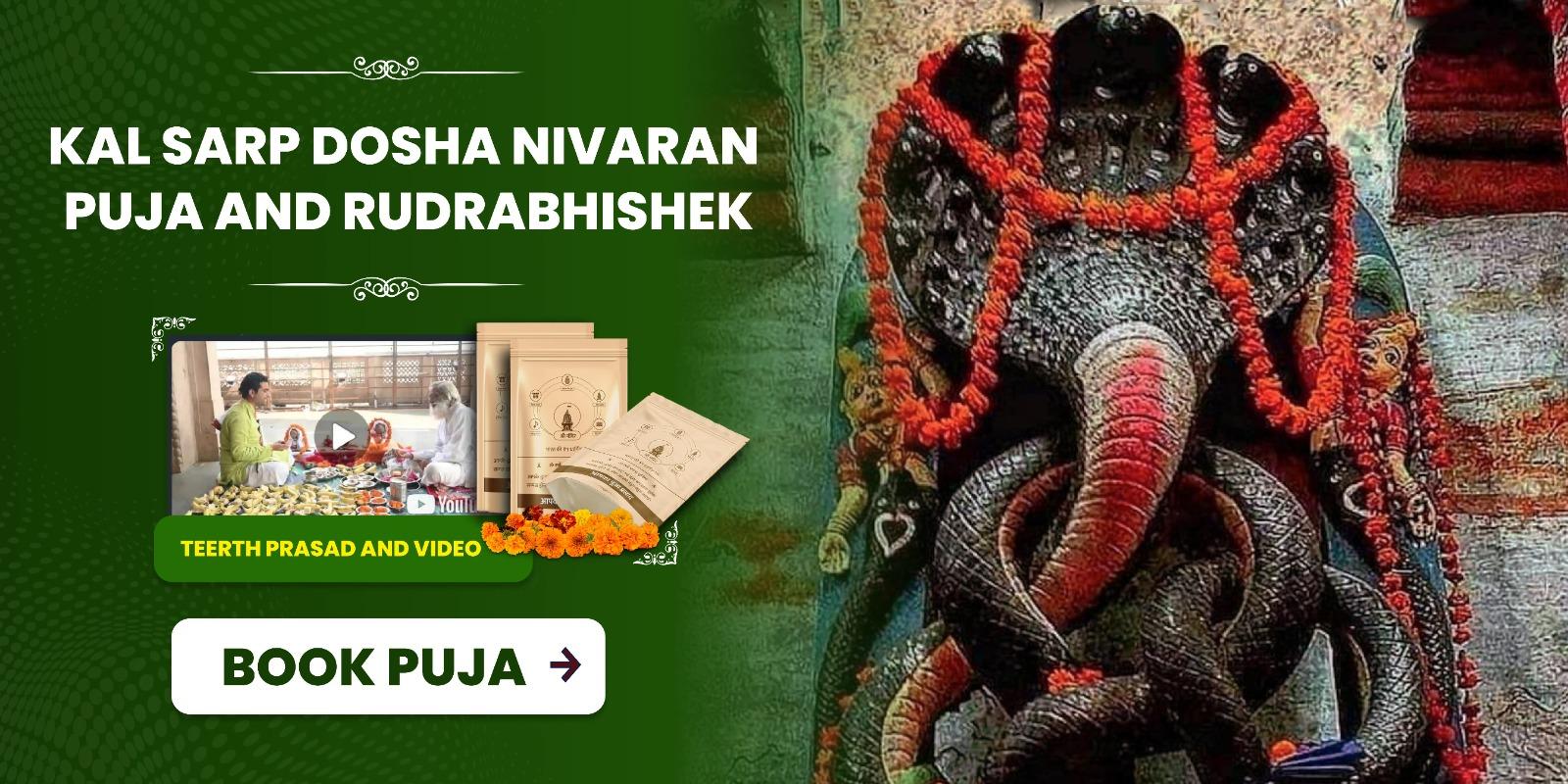Margashirsha Krishna Navami Special Kalasarpa Dosha Removal Mahapuja and Rudrabhishek