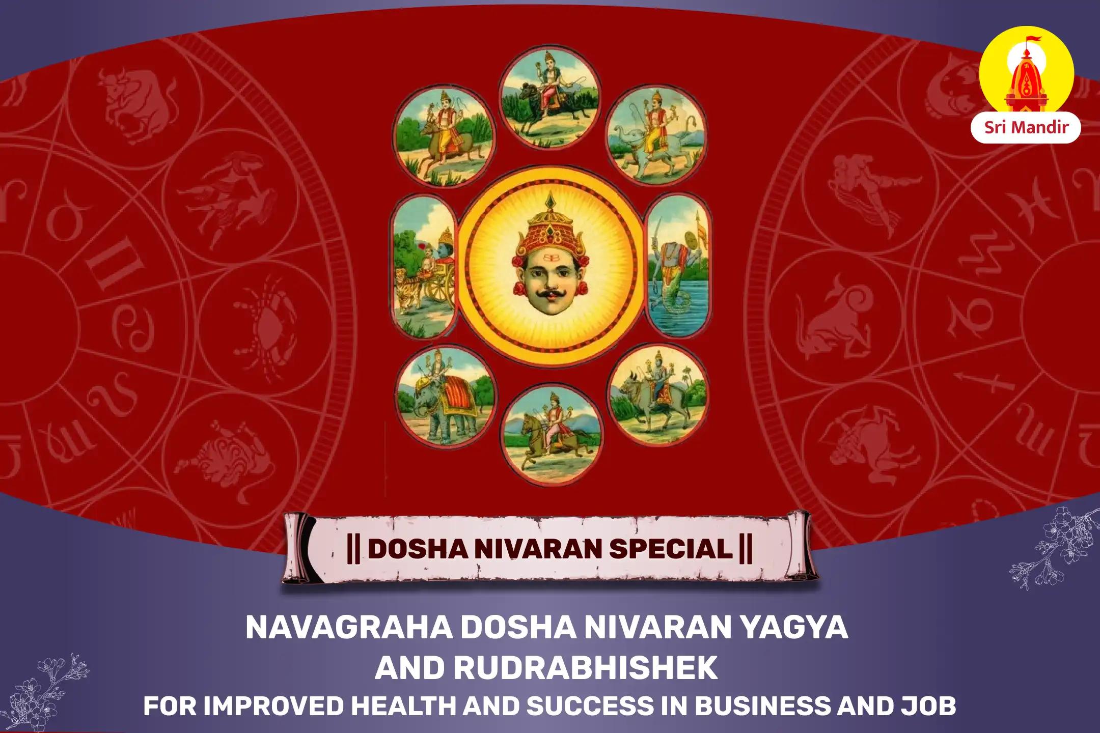 Navagraha Dosha Nivaran Yagya and Rudrabhishek for Improved Health and Success in Business and Job