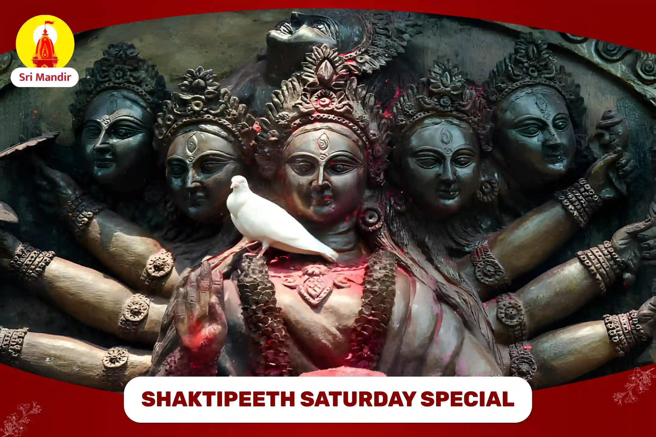 Shaktipeeth Saturday Special Sarva Manokamna Poorti Shri Kameshwari Tantrokta Maha Yagya for Fulfilment of All Desires