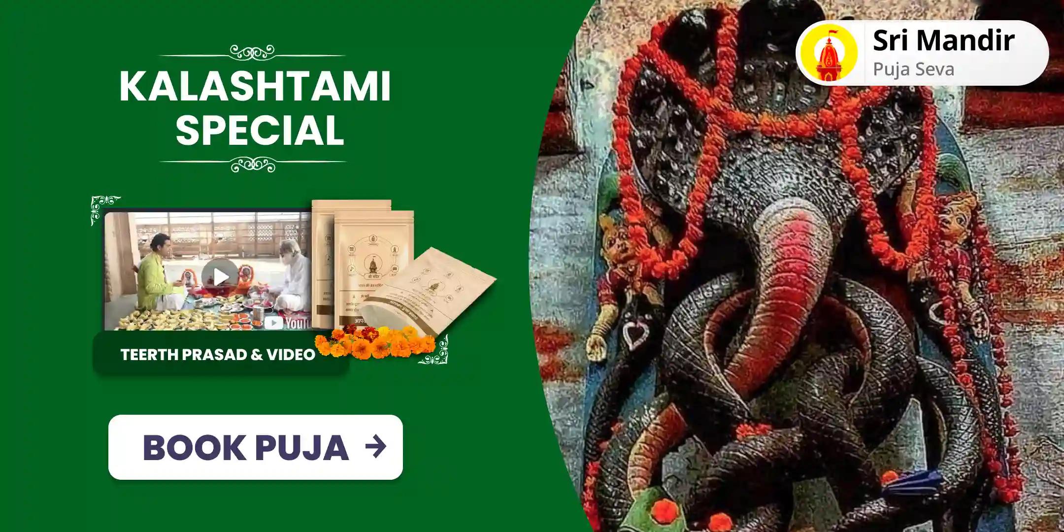 Kalashtami Special Kaal Sarp Dosha Shanti Puja and Rudra Abhishek For Eliminating the Fear of Death and Achieving Mental Stability 