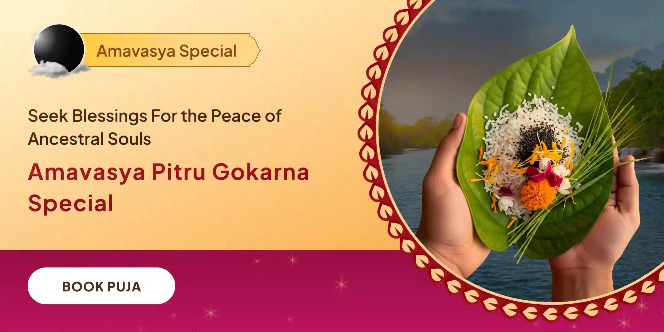 Narayan Bali Puja, Tripindi shraadh Pitru Dosh Shanti Puja Narayan Bali Puja, Tripindi shraadh Pitru Dosh Shanti Puja