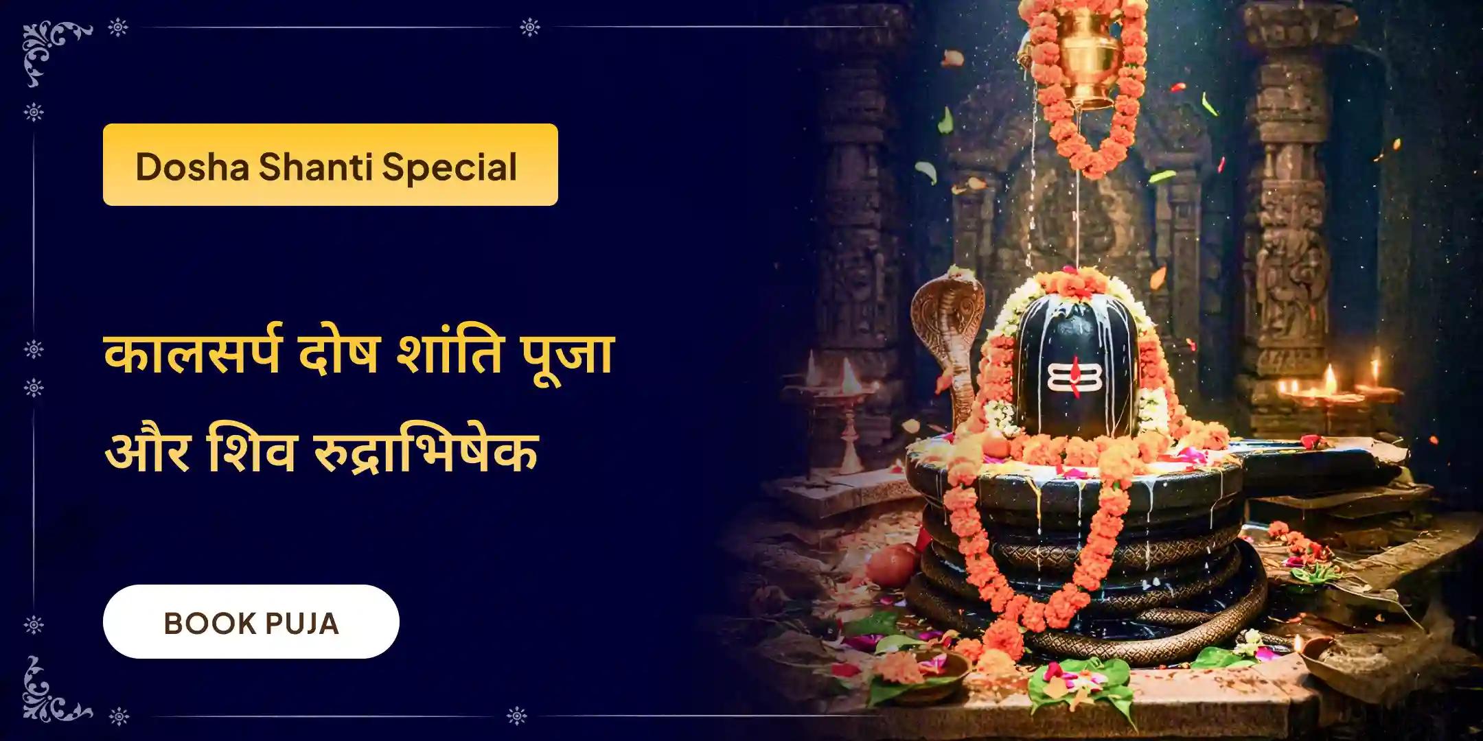 काल सर्प दोष शांति पूजा एवं शिव रुद्राभिषेक काल सर्प दोष शांति पूजा एवं शिव रुद्राभिषेक