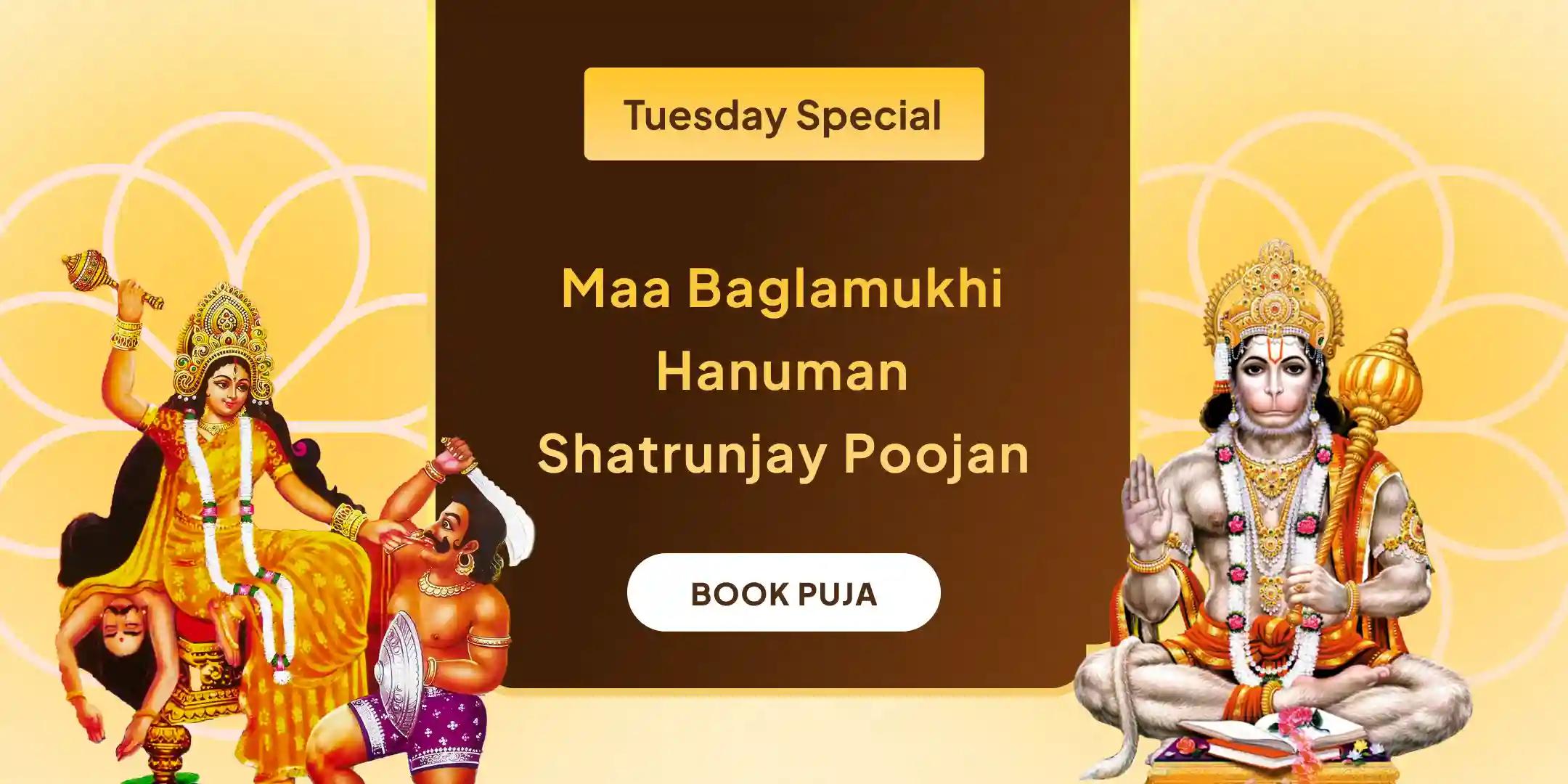 Maa Bagalamukhi Shatru Buddhi Vinashini Yagya and Hanuman Shatrunjay Pujan Maa Bagalamukhi Shatru Buddhi Vinashini Yagya and Hanuman Shatrunjay Pujan