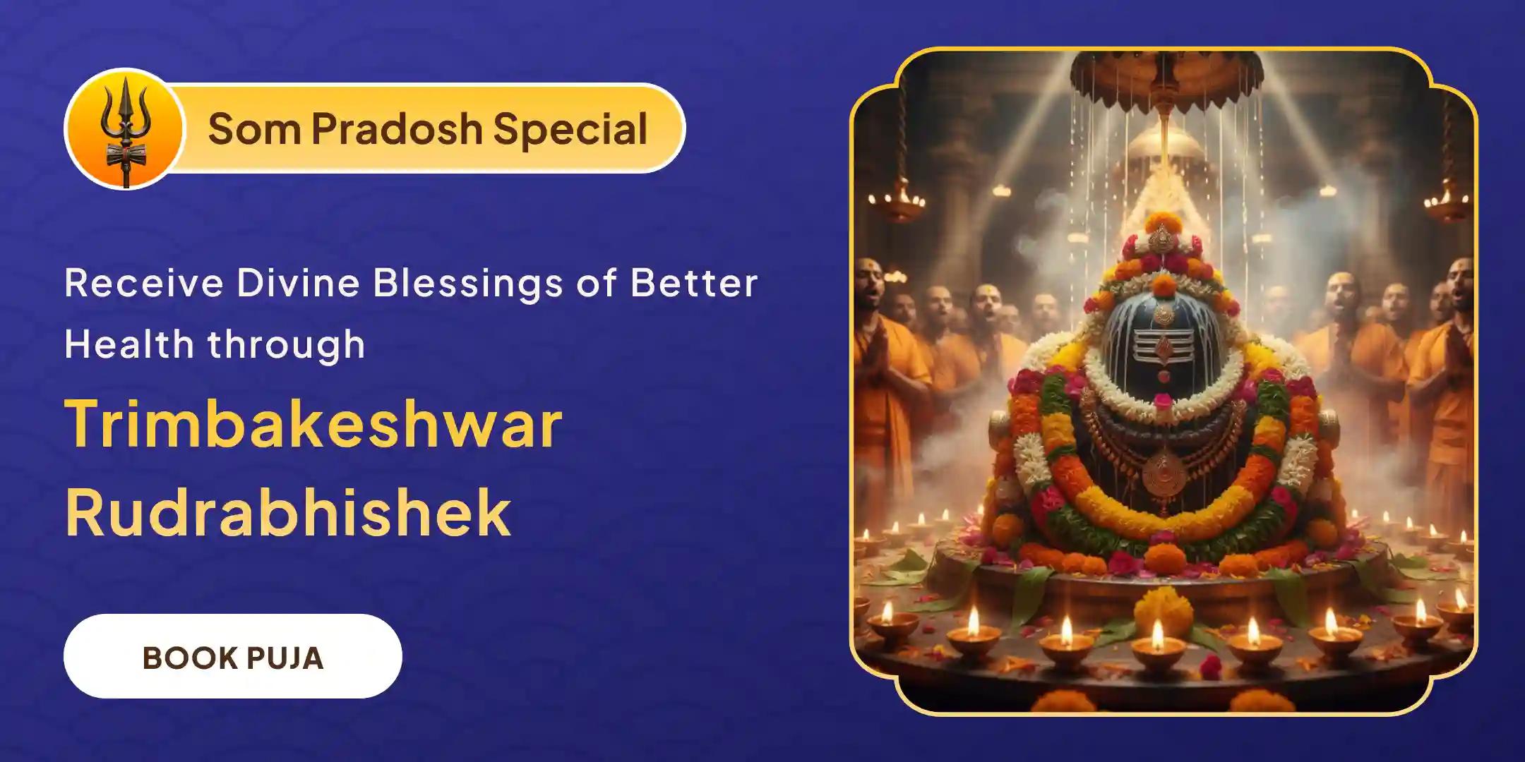 Trimbakeshwar Rudrabhishek Trimbakeshwar Rudrabhishek