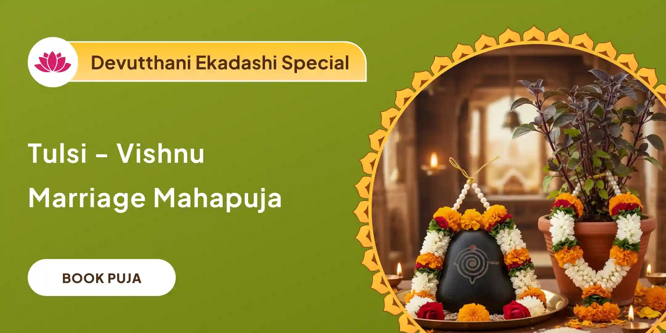 Tulsi-Vishnu Vivah Puja and Mangal Dosh Nivaran Anushthan and Mahapuja Tulsi-Vishnu Vivah Puja and Mangal Dosh Nivaran Anushthan and Mahapuja