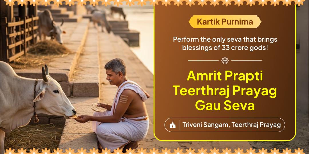 Gauseva At Triveni Sangam on Kartik Purnima, bring punya and carry offerings directly to Pitrulok granting eternal moksha blessings. Gauseva At Triveni Sangam on Kartik Purnima, bring punya and carry offerings directly to Pitrulok granting eternal moksha blessings.