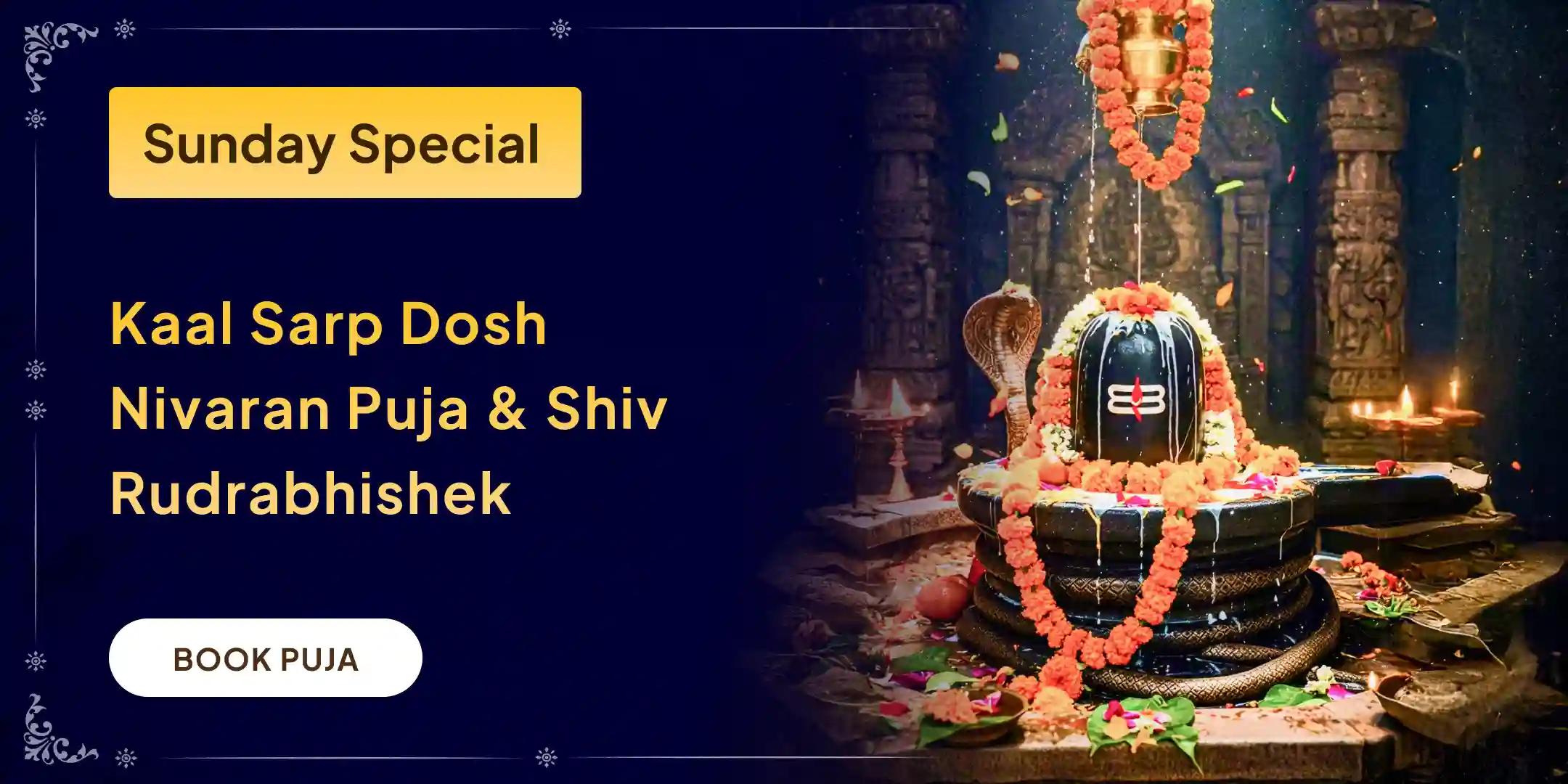 Kaal Sarp Dosha Nivaran Puja and Trimbakeshwar Jyotirlinga Rudrabhishek Kaal Sarp Dosha Nivaran Puja and Trimbakeshwar Jyotirlinga Rudrabhishek