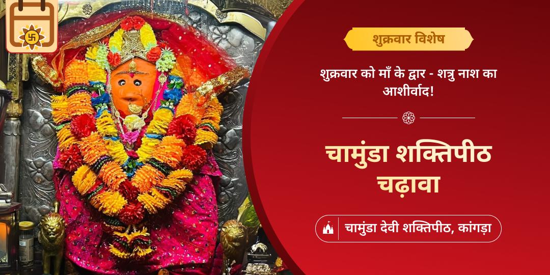 भय, बाधा और शत्रु नाश का आशीर्वाद पाएं - शुक्रवार के शुभ दिन चामुंडा शक्तिपीठ में चढ़ावा चढ़ाएं। भय, बाधा और शत्रु नाश का आशीर्वाद पाएं - शुक्रवार के शुभ दिन चामुंडा शक्तिपीठ में चढ़ावा चढ़ाएं।