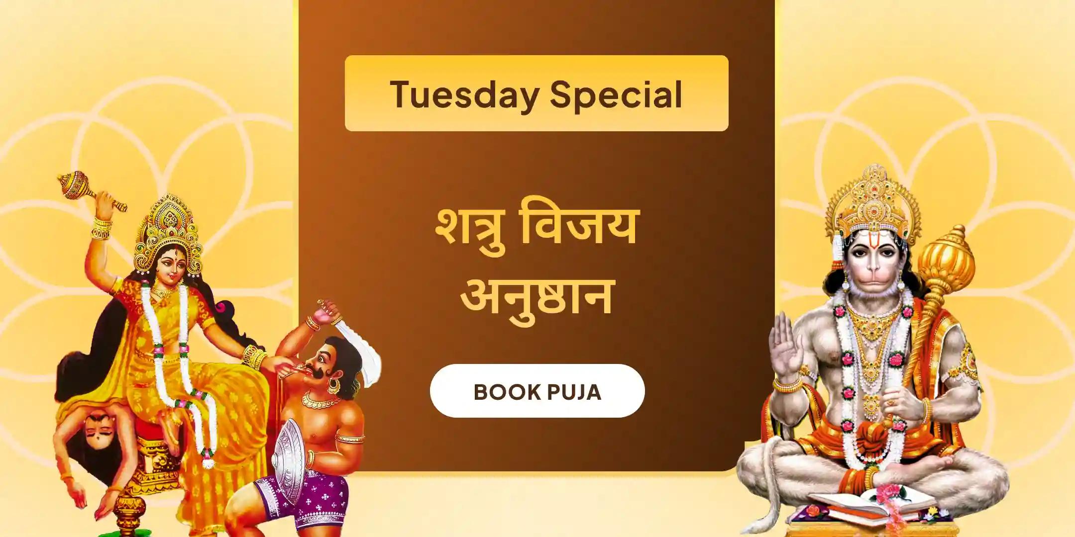 माँ बगलामुखी शत्रु बुद्धि विनाशिनी यज्ञ एवं हनुमान शत्रुंजय पूजन माँ बगलामुखी शत्रु बुद्धि विनाशिनी यज्ञ एवं हनुमान शत्रुंजय पूजन