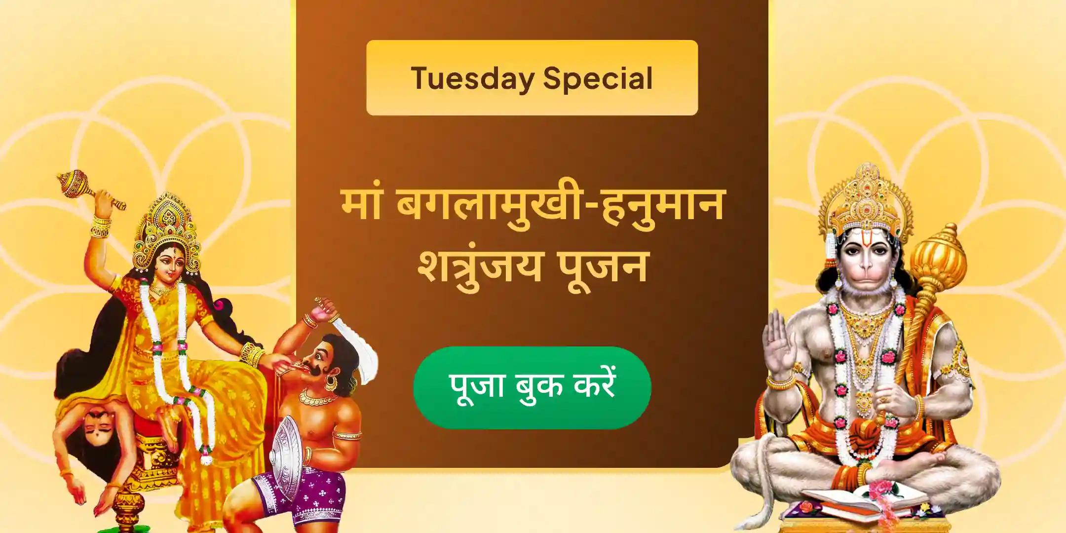 माँ बगलामुखी शत्रु बुद्धि विनाशिनी यज्ञ और हनुमान शत्रुंजय पूजन माँ बगलामुखी शत्रु बुद्धि विनाशिनी यज्ञ और हनुमान शत्रुंजय पूजन
