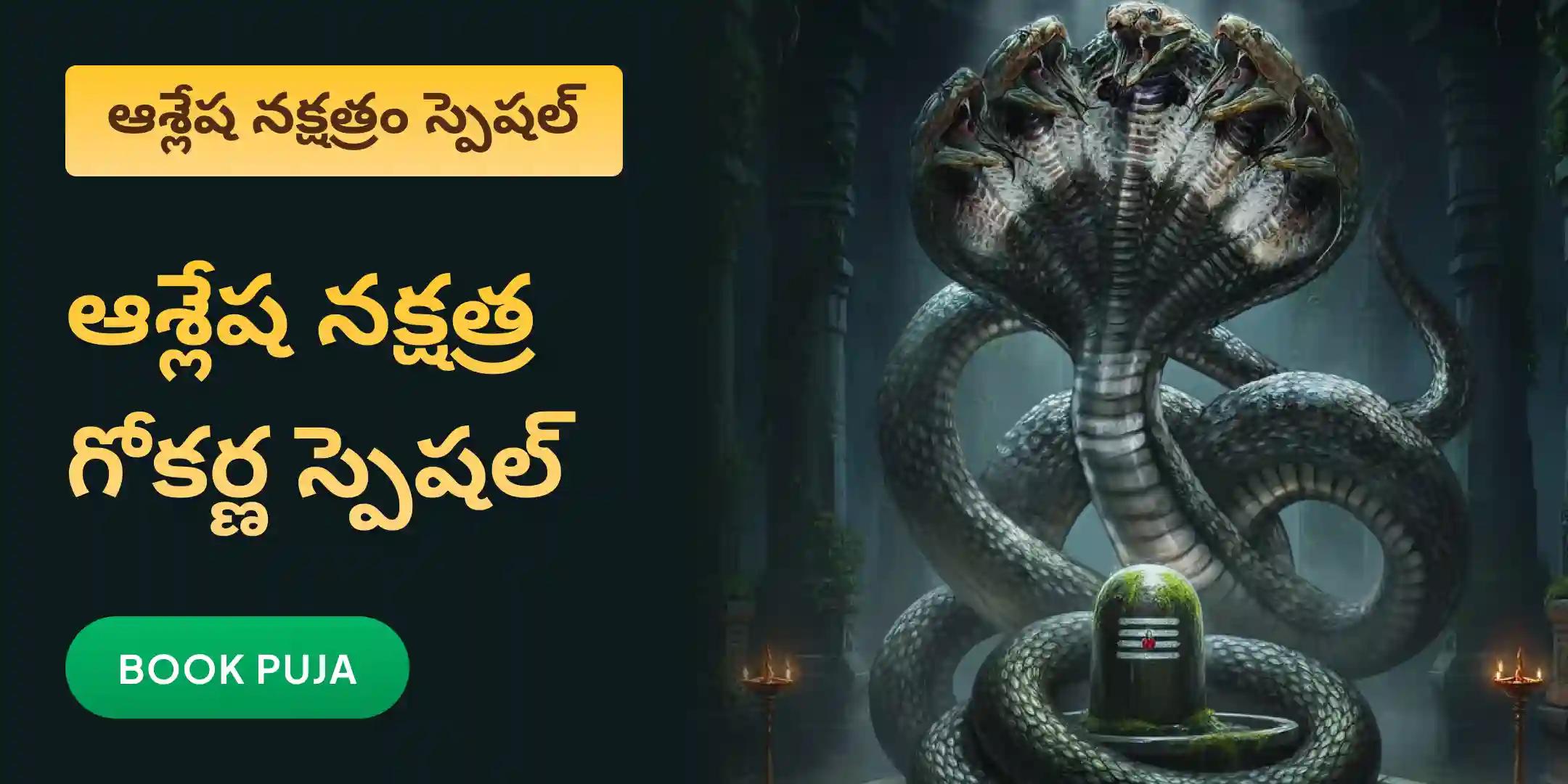 ఆశ్లేష నాగబలి పూజ ఆశ్లేష నాగబలి పూజ