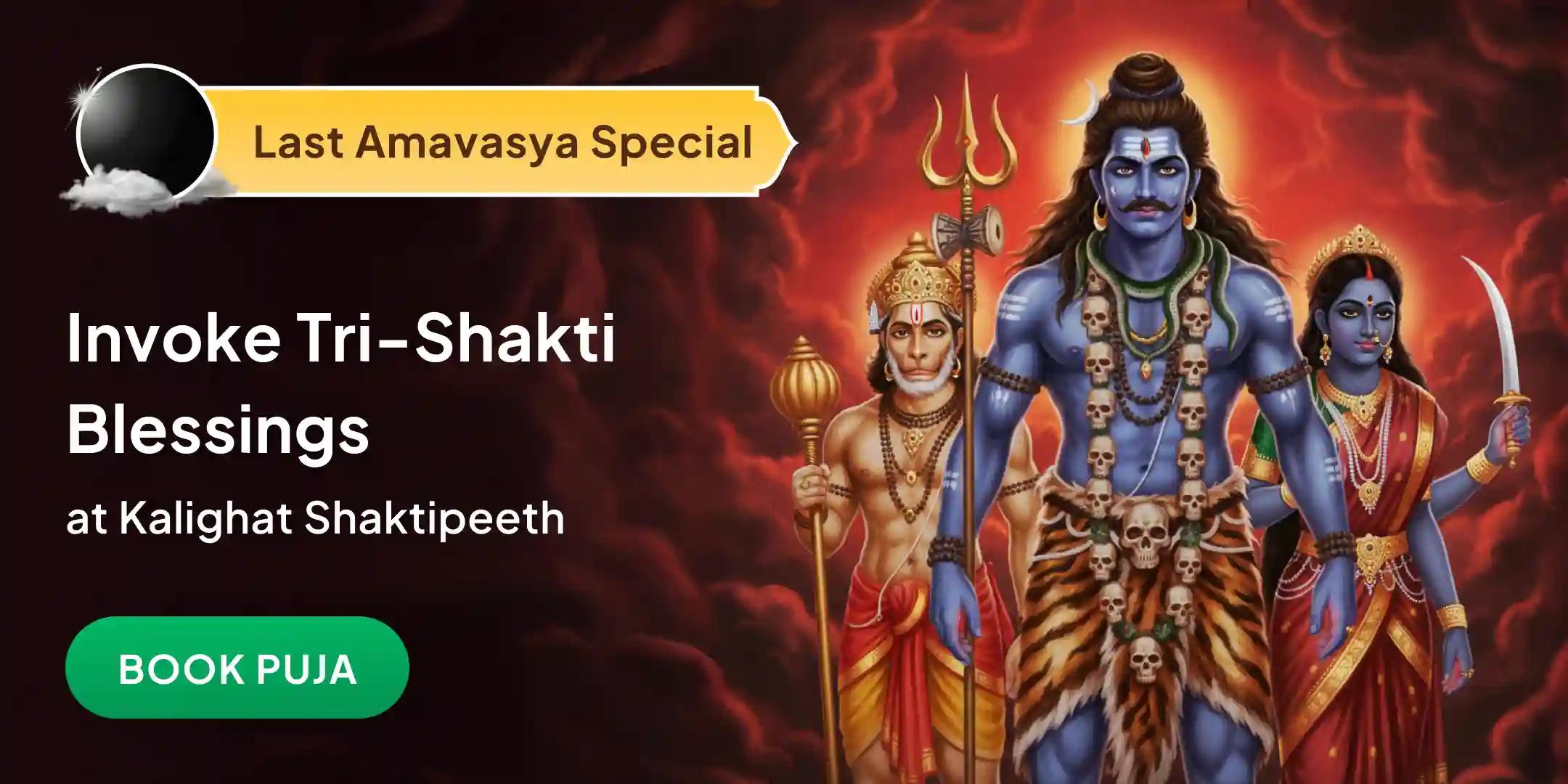 Shri Hanuman, Bhairav, Maha Kali Sampoorna Suraksha Maha Yagya Shri Hanuman, Bhairav, Maha Kali Sampoorna Suraksha Maha Yagya