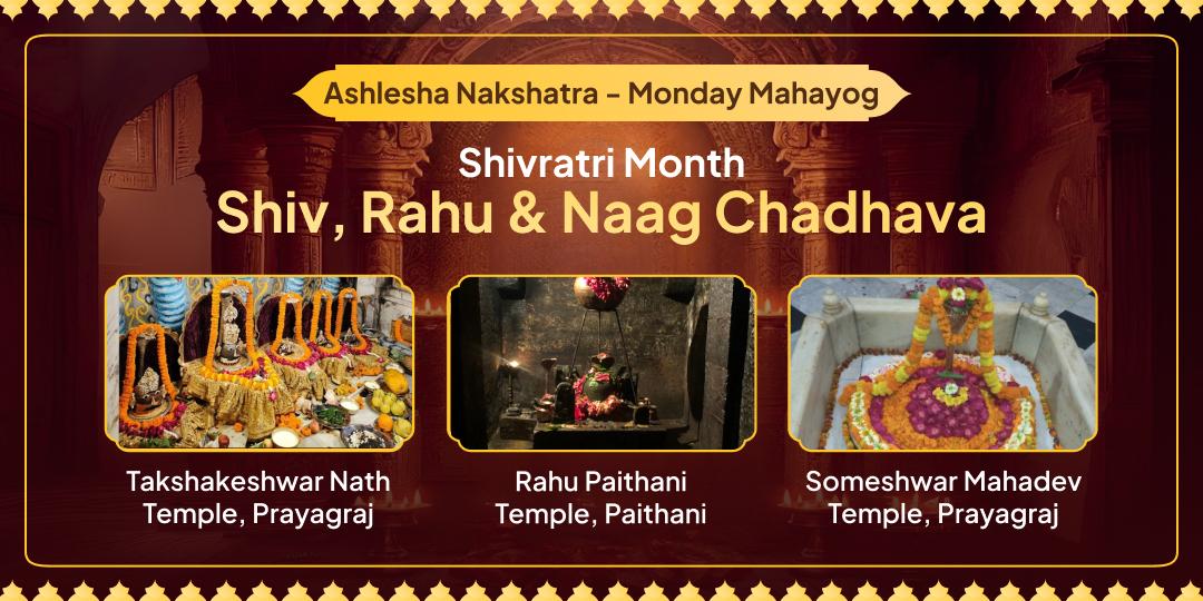 The Lord who wears Nagas also rules Rahu & Chandra! Seek Balance on this Ashlesha Nakshatra Monday Shivratri Mahayog. The Lord who wears Nagas also rules Rahu & Chandra! Seek Balance on this Ashlesha Nakshatra Monday Shivratri Mahayog.