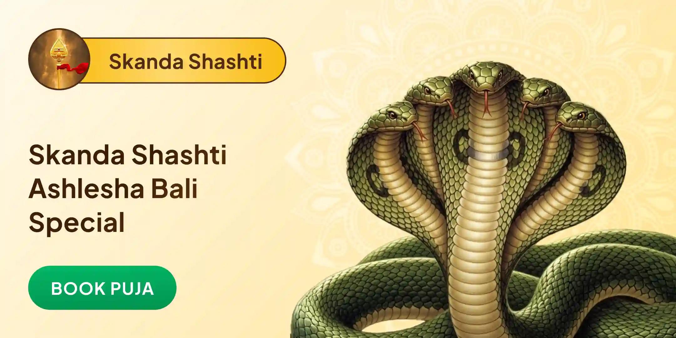 Ashlesha Naag Bali Puja Ashlesha Naag Bali Puja