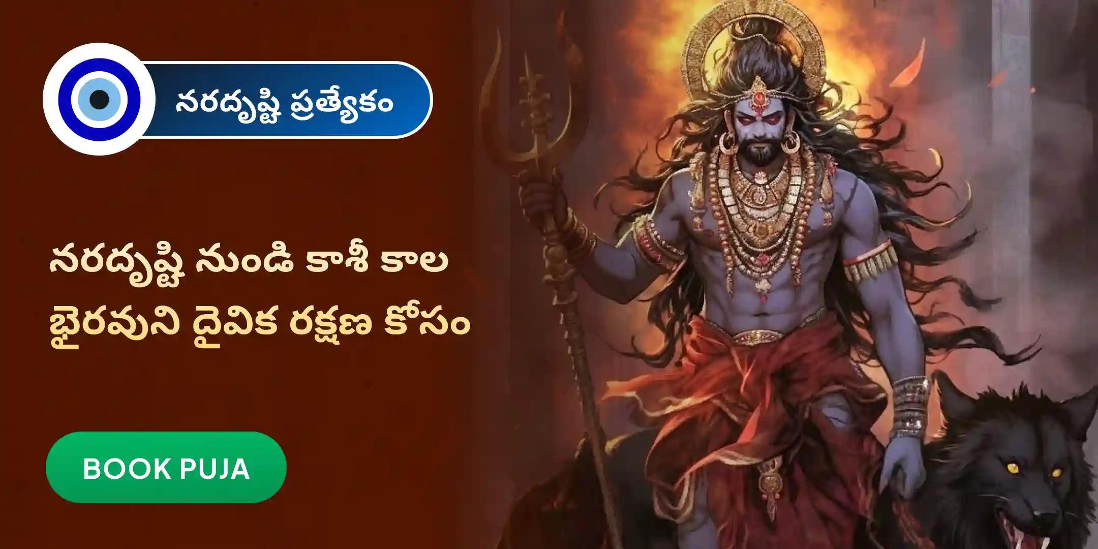 నరదృష్టి దోష శాంతి పూజ మరియు హోమం నరదృష్టి దోష శాంతి పూజ మరియు హోమం