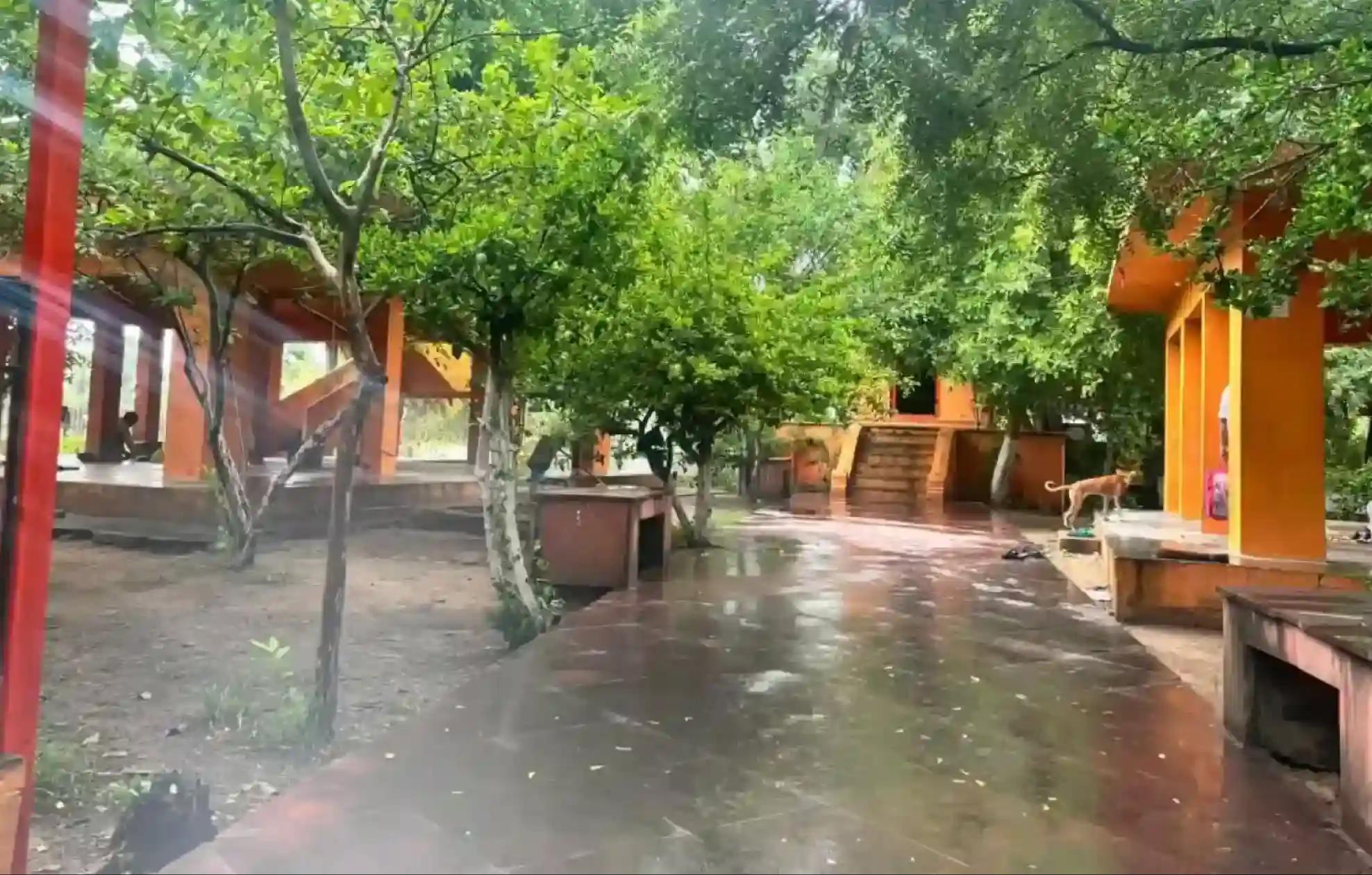 Dharmaranya Vedi, Gaya, Bihar Dharmaranya Vedi, Gaya, Bihar