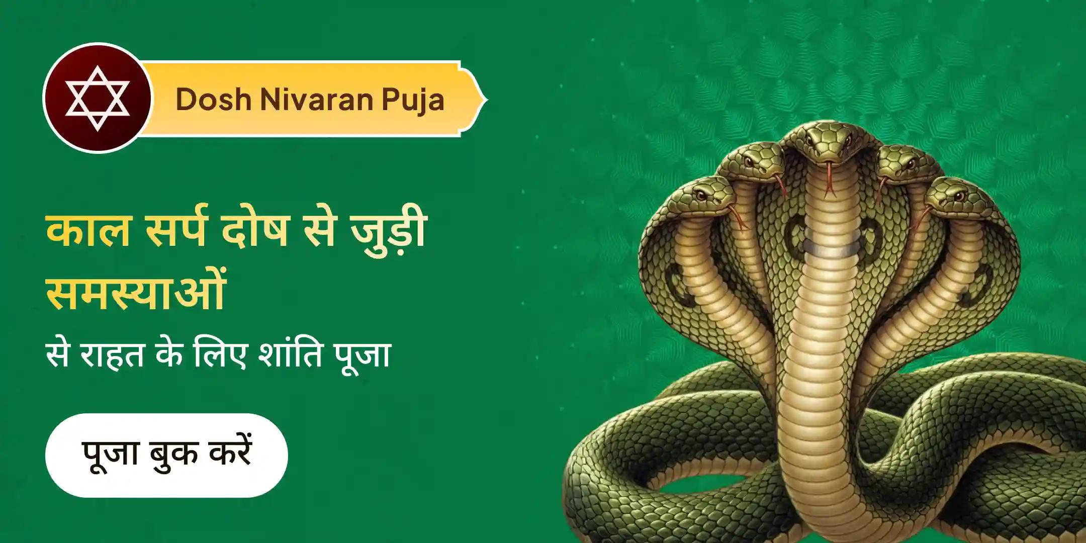 त्र्यंबकेश्वर में काल सर्प दोष शांति पूजा त्र्यंबकेश्वर में काल सर्प दोष शांति पूजा