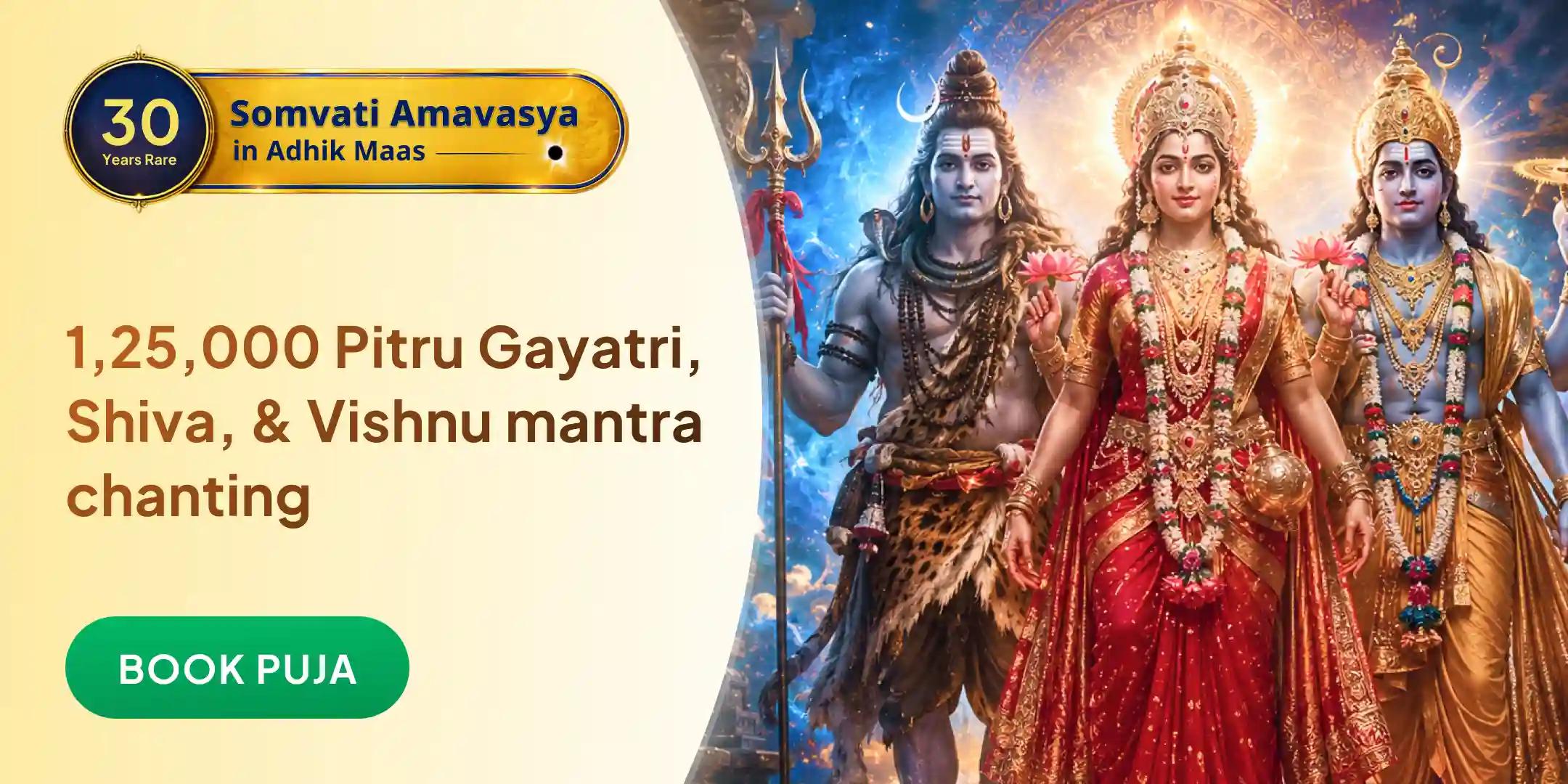 1,25,000 Pitru Gayatri Mantra Jaap, 1,25,000 Shiv Mantra Jaap, 1,25,000 Vishnu Mantra Jaap and Pitru Tarpan 1,25,000 Pitru Gayatri Mantra Jaap, 1,25,000 Shiv Mantra Jaap, 1,25,000 Vishnu Mantra Jaap and Pitru Tarpan