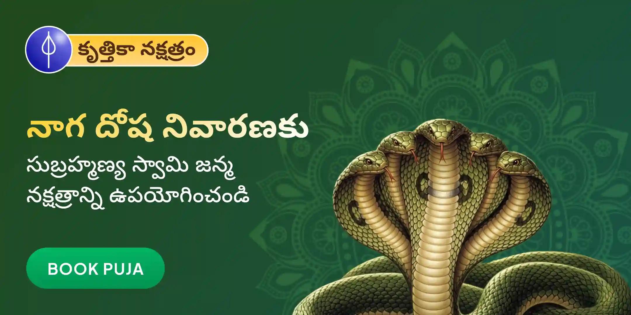 ఆశ్లేష బలి పూజ ఆశ్లేష బలి పూజ