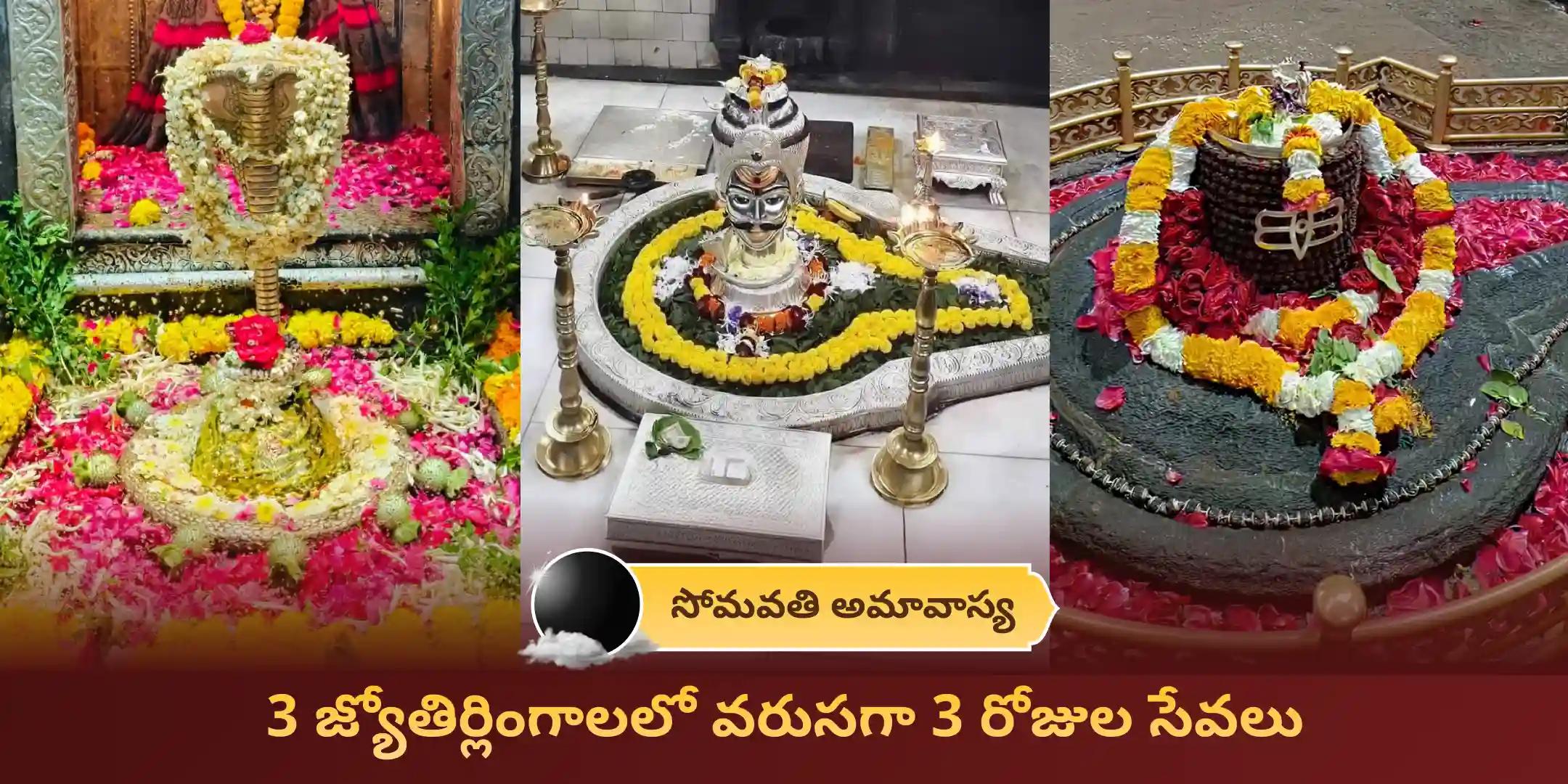 3 రోజుల 3 జ్యోతిర్లింగ శివ గంగాజల రుద్రాభిషేకం మరియు 108 బిల్వపత్ర అర్చన 3 రోజుల 3 జ్యోతిర్లింగ శివ గంగాజల రుద్రాభిషేకం మరియు 108 బిల్వపత్ర అర్చన
