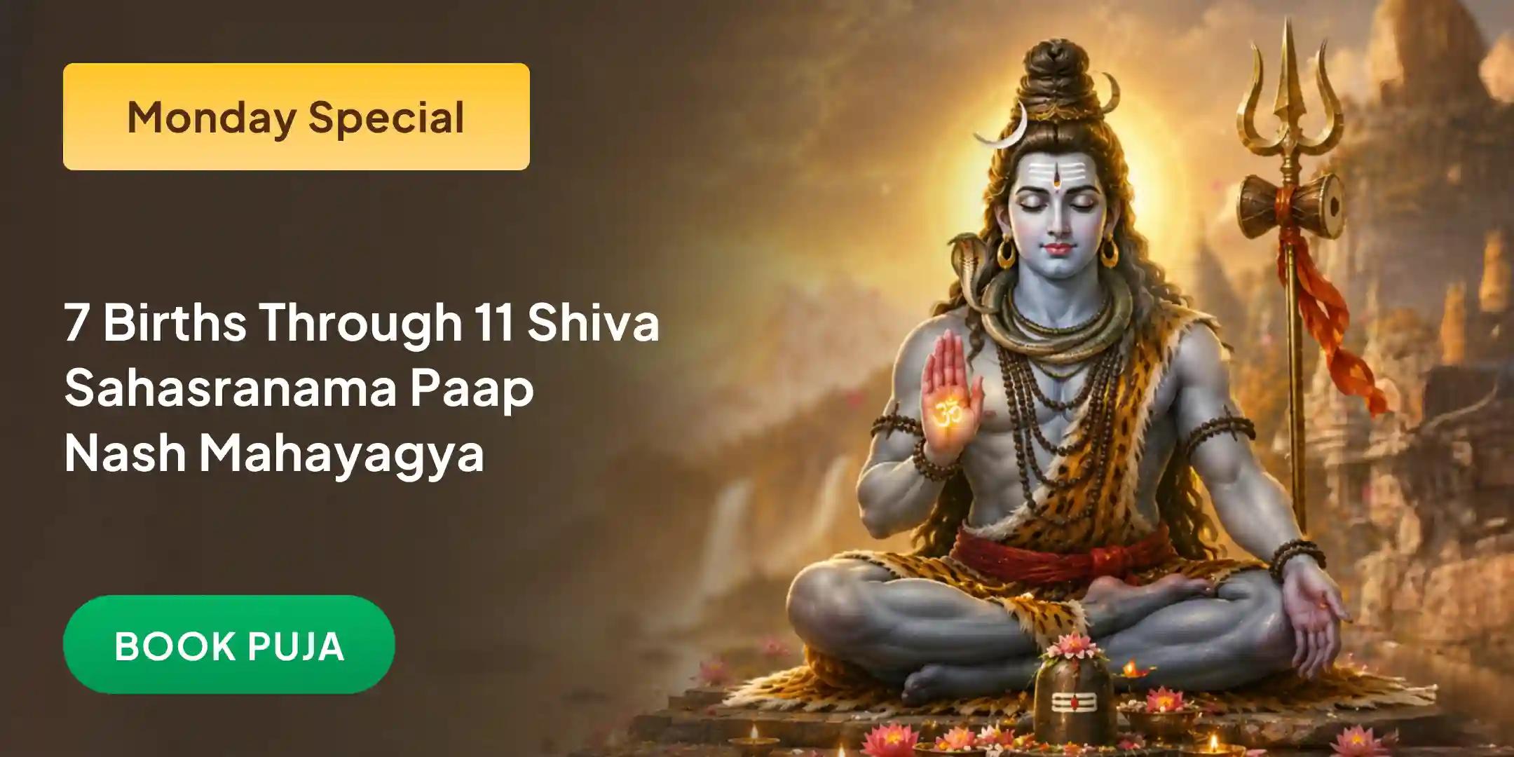 Special 11 Shiva Sahasranama Recitation and Paap Nash Mahayagya for Destruction of Sins of 7 Previous Births Special 11 Shiva Sahasranama Recitation and Paap Nash Mahayagya for Destruction of Sins of 7 Previous Births