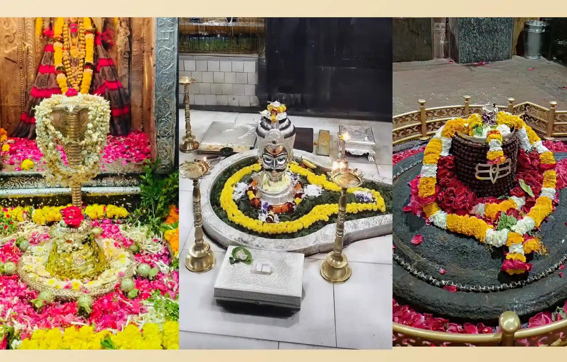 ಶ್ರೀ ಓಂಕಾರೇಶ್ವರ ಜ್ಯೋತಿರ್ಲಿಂಗ ದೇವಸ್ಥಾನ, ತ್ರಯಂಬಕೇಶ್ವರ ಜ್ಯೋತಿರ್ಲಿಂಗ, ಘೃಷ್ಣೇಶ್ವರ ಜ್ಯೋತಿರ್ಲಿಂಗ, ಖಾಂಡ್ವಾ, ಮಧ್ಯಪ್ರದೇಶ; ನಾಸಿಕ್, ಮಹಾರಾಷ್ಟ್ರ; ಔರಂಗಾಬಾದ್, ಮಹಾರಾಷ್ಟ್ರ ಶ್ರೀ ಓಂಕಾರೇಶ್ವರ ಜ್ಯೋತಿರ್ಲಿಂಗ ದೇವಸ್ಥಾನ, ತ್ರಯಂಬಕೇಶ್ವರ ಜ್ಯೋತಿರ್ಲಿಂಗ, ಘೃಷ್ಣೇಶ್ವರ ಜ್ಯೋತಿರ್ಲಿಂಗ, ಖಾಂಡ್ವಾ, ಮಧ್ಯಪ್ರದೇಶ; ನಾಸಿಕ್, ಮಹಾರಾಷ್ಟ್ರ; ಔರಂಗಾಬಾದ್, ಮಹಾರಾಷ್ಟ್ರ
