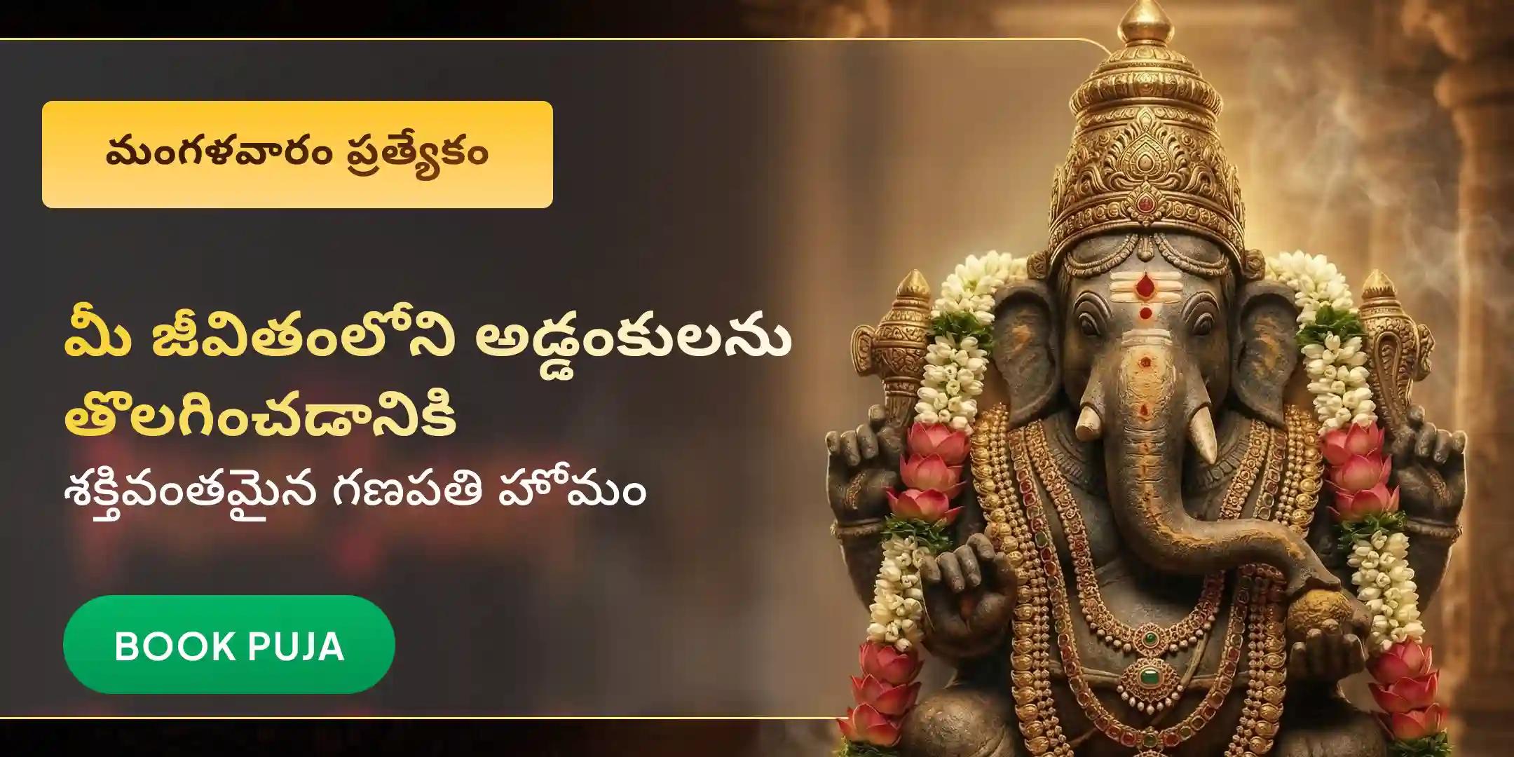 జీవితంలోని అడ్డంకుల తొలగింపు కొరకు గణపతి హోమం జీవితంలోని అడ్డంకుల తొలగింపు కొరకు గణపతి హోమం