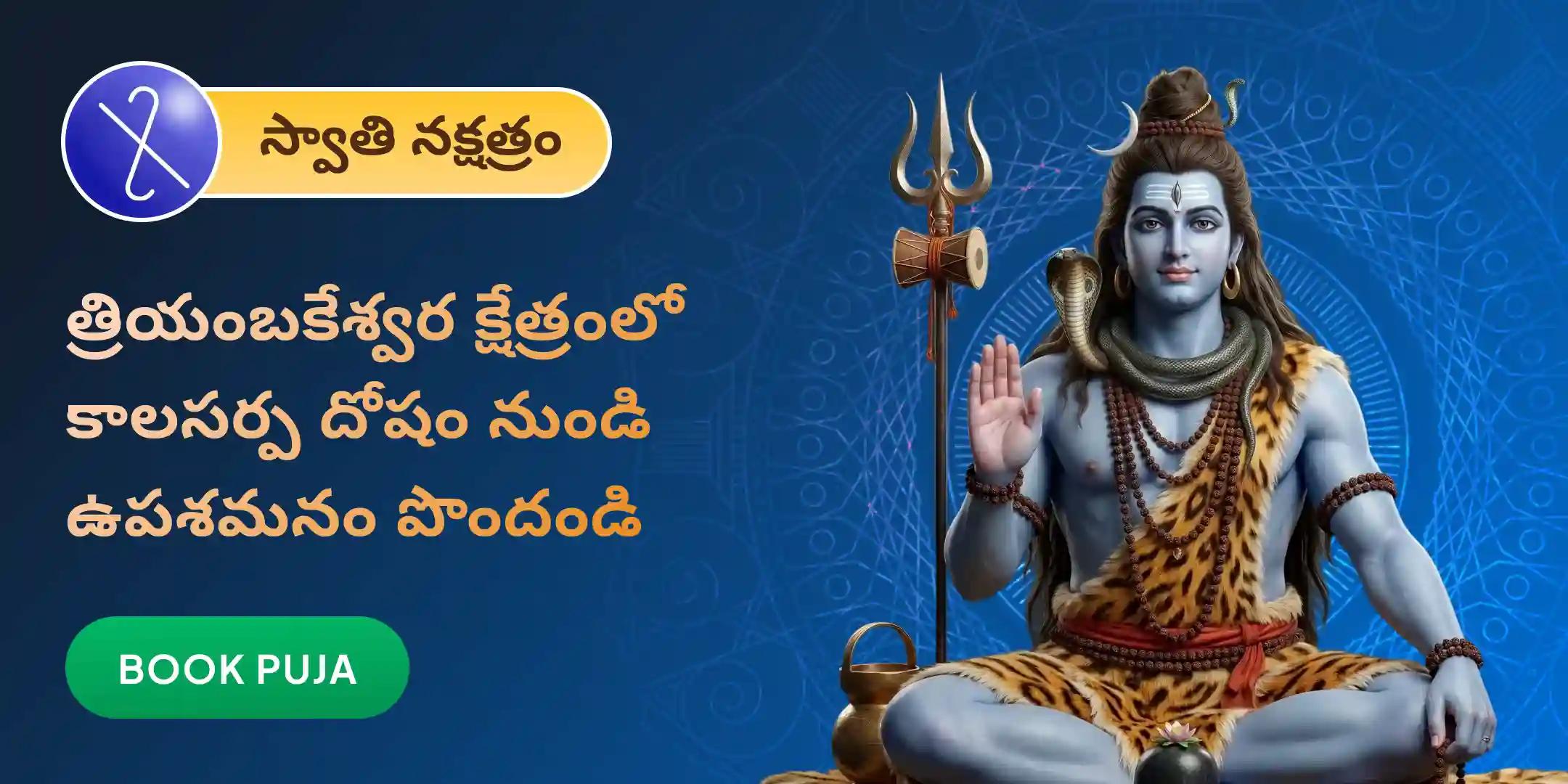 త్రయంబకేశ్వర గోదావరి క్షేత్రంలో కాల సర్ప దోష శాంతి పూజ త్రయంబకేశ్వర గోదావరి క్షేత్రంలో కాల సర్ప దోష శాంతి పూజ