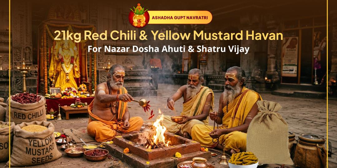 On Gupt Navratri Ashtami, offer ahuti in 21KG Red Chili Havan and 21KG Yellow Mustard Havan simultaneously for Evil Eye Removal and Victory over Enemies! On Gupt Navratri Ashtami, offer ahuti in 21KG Red Chili Havan and 21KG Yellow Mustard Havan simultaneously for Evil Eye Removal and Victory over Enemies!