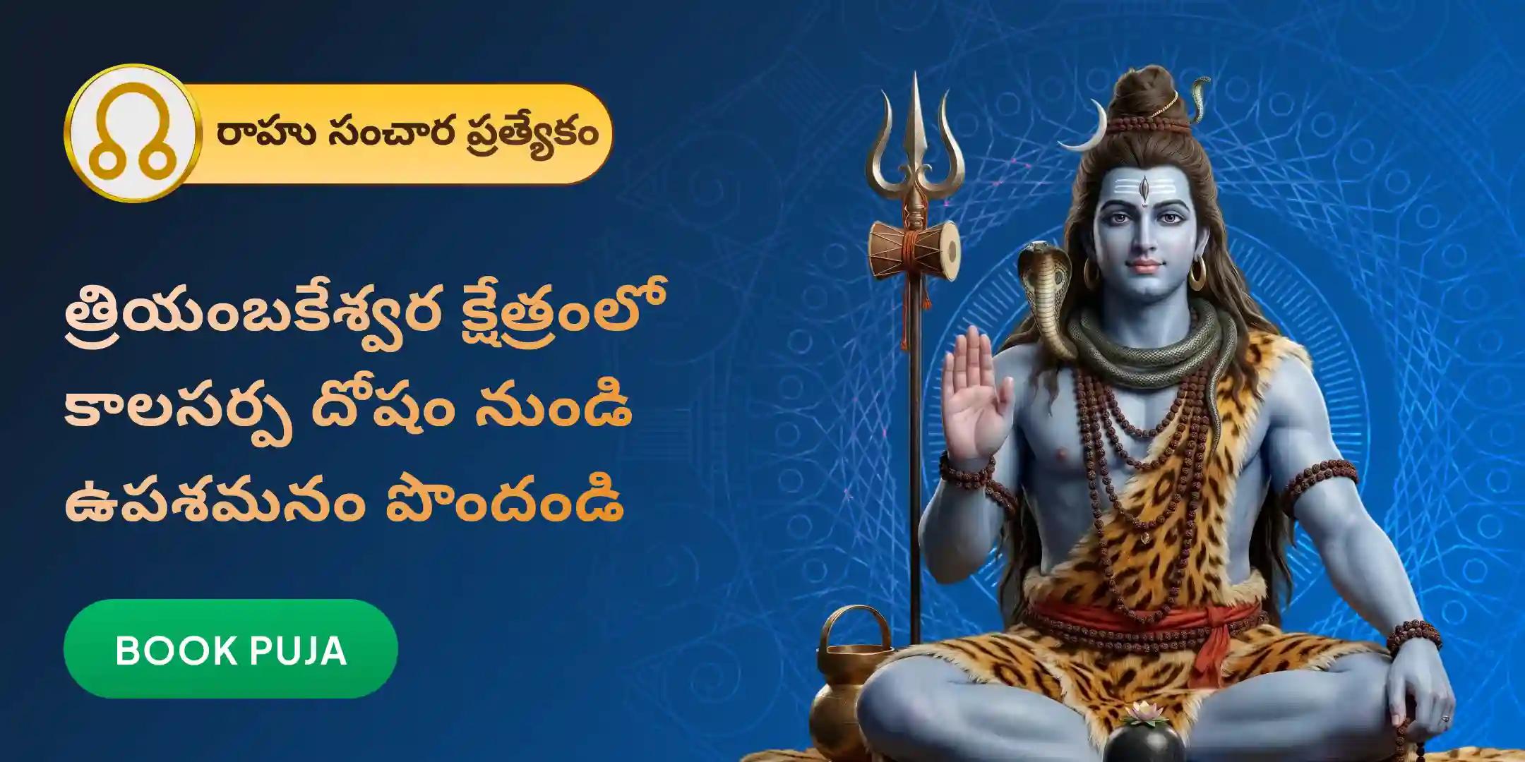 త్రయంబకేశ్వర గోదావరి క్షేత్రంలో కాల సర్ప దోష శాంతి పూజ త్రయంబకేశ్వర గోదావరి క్షేత్రంలో కాల సర్ప దోష శాంతి పూజ