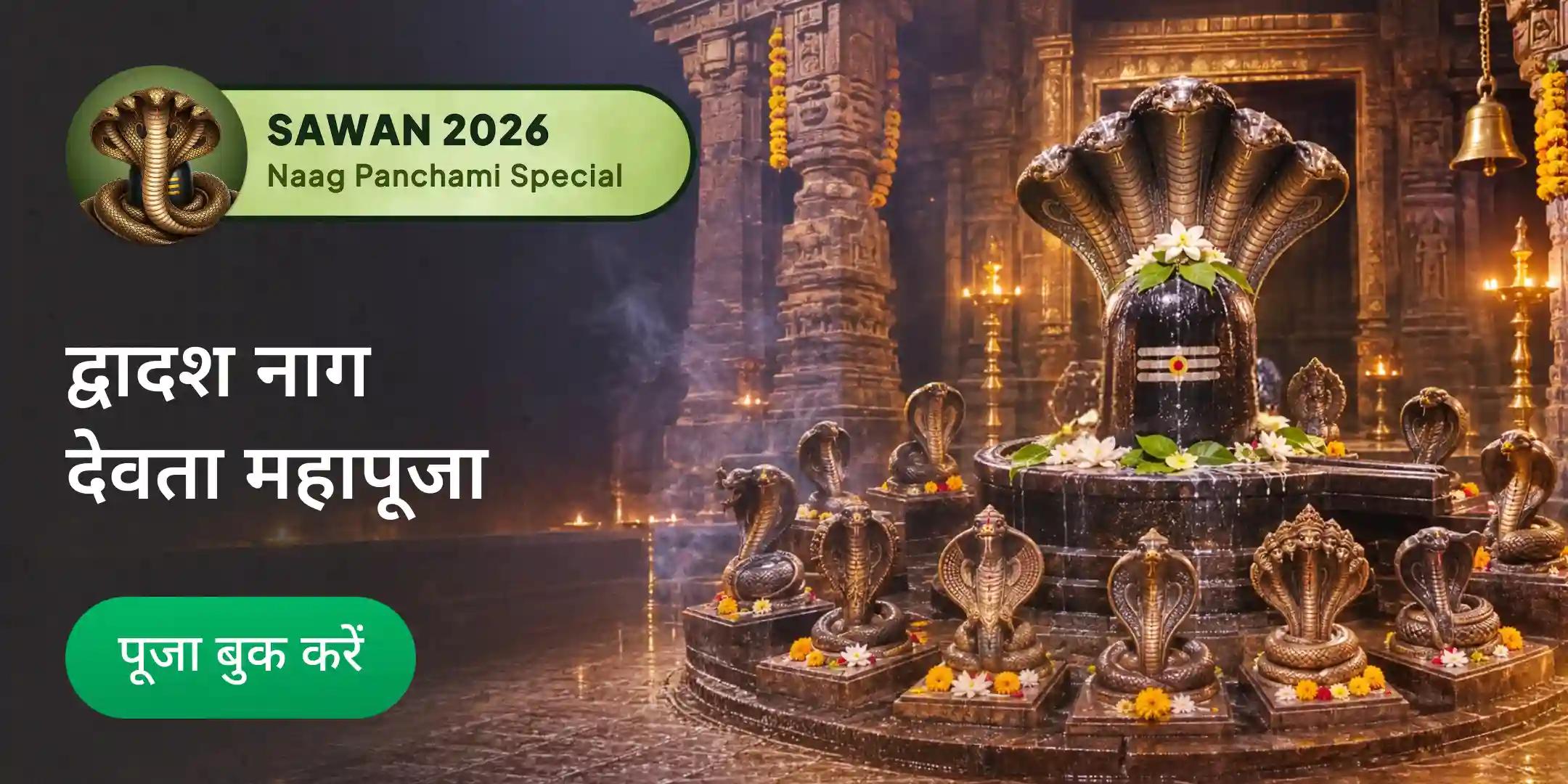 द्वादश कालसर्प दोष शांति के लिए नाग कुंड काशी में द्वादश नाग देवता महापूजा द्वादश कालसर्प दोष शांति के लिए नाग कुंड काशी में द्वादश नाग देवता महापूजा