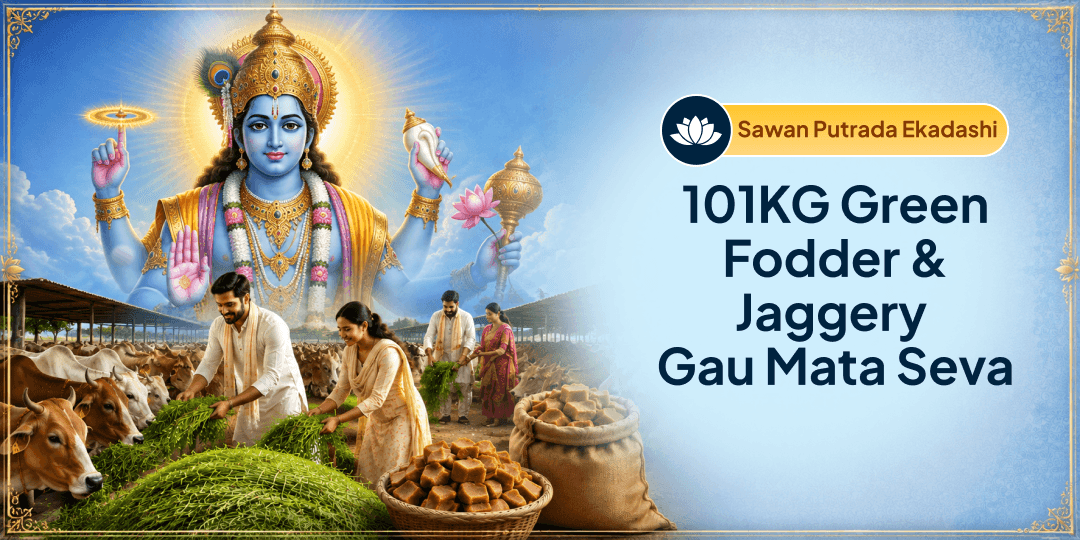 Invoke Blessings of 33 Koti Devi-Devtas - Offer 101KG Green Fodder & Gud to Gau Mata. Invoke Blessings of 33 Koti Devi-Devtas - Offer 101KG Green Fodder & Gud to Gau Mata.
