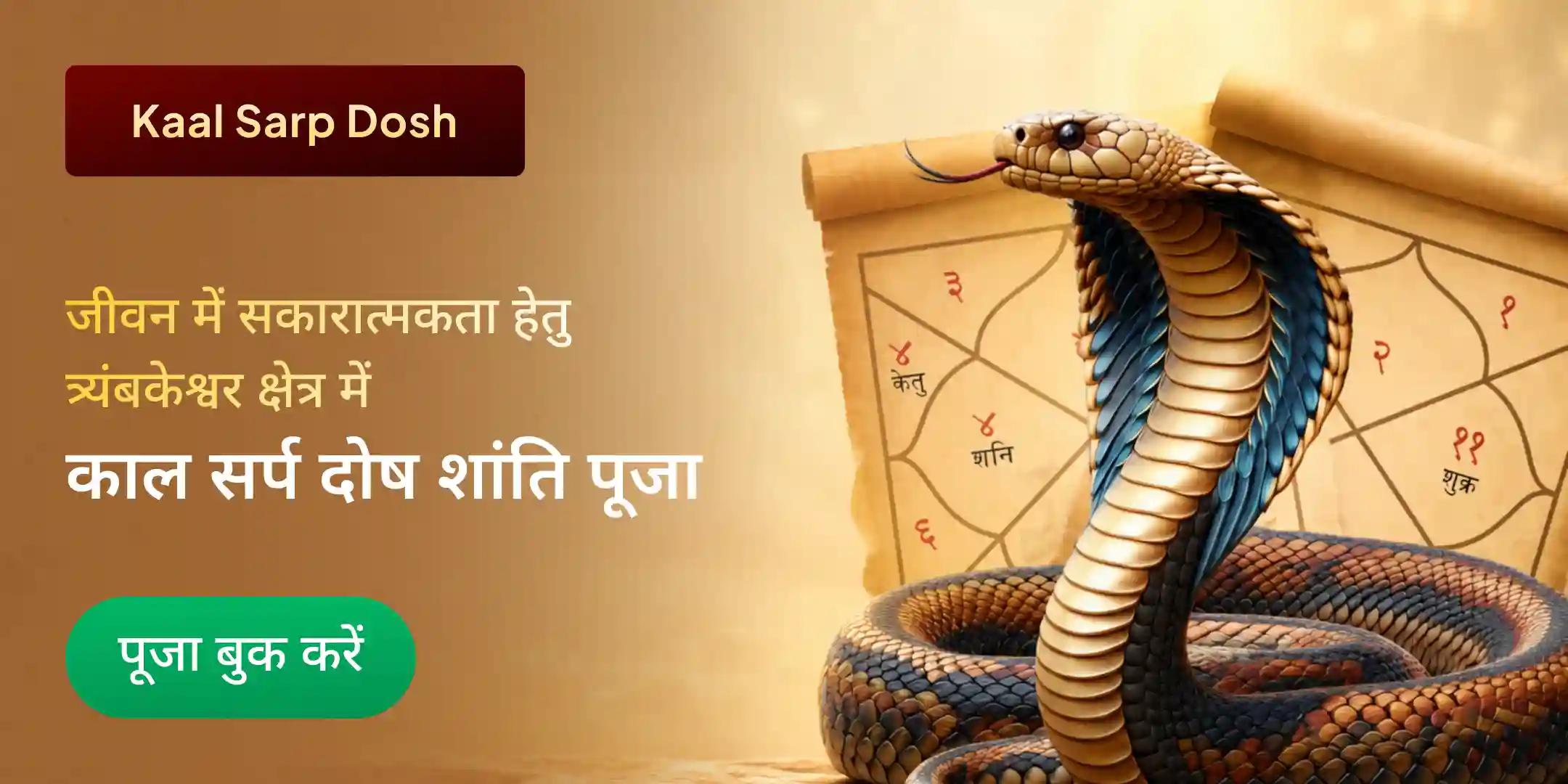 त्र्यंबकेश्वर क्षेत्र में काल सर्प दोष शांति पूजा त्र्यंबकेश्वर क्षेत्र में काल सर्प दोष शांति पूजा